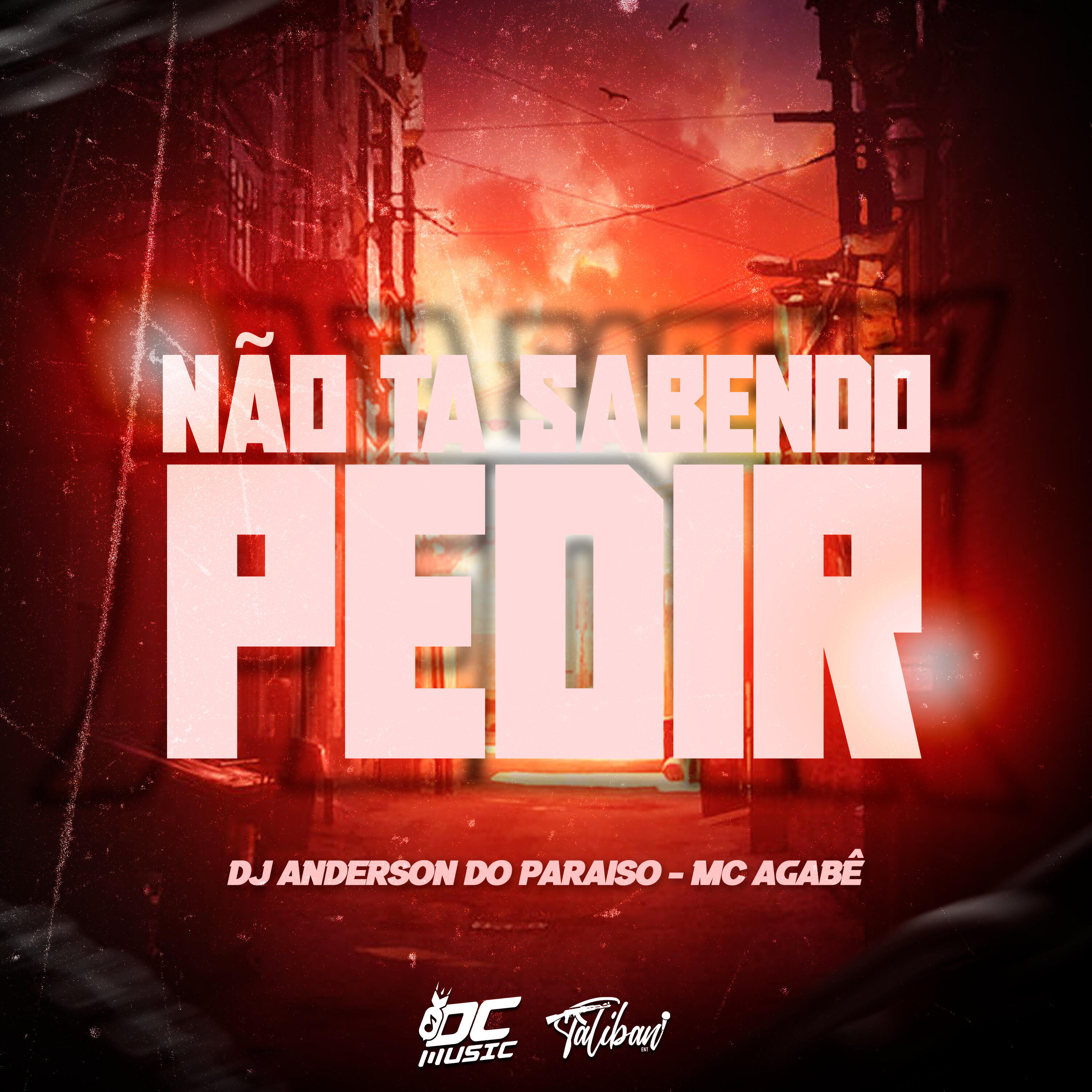 Релиз Não Ta Sabendo Pedir