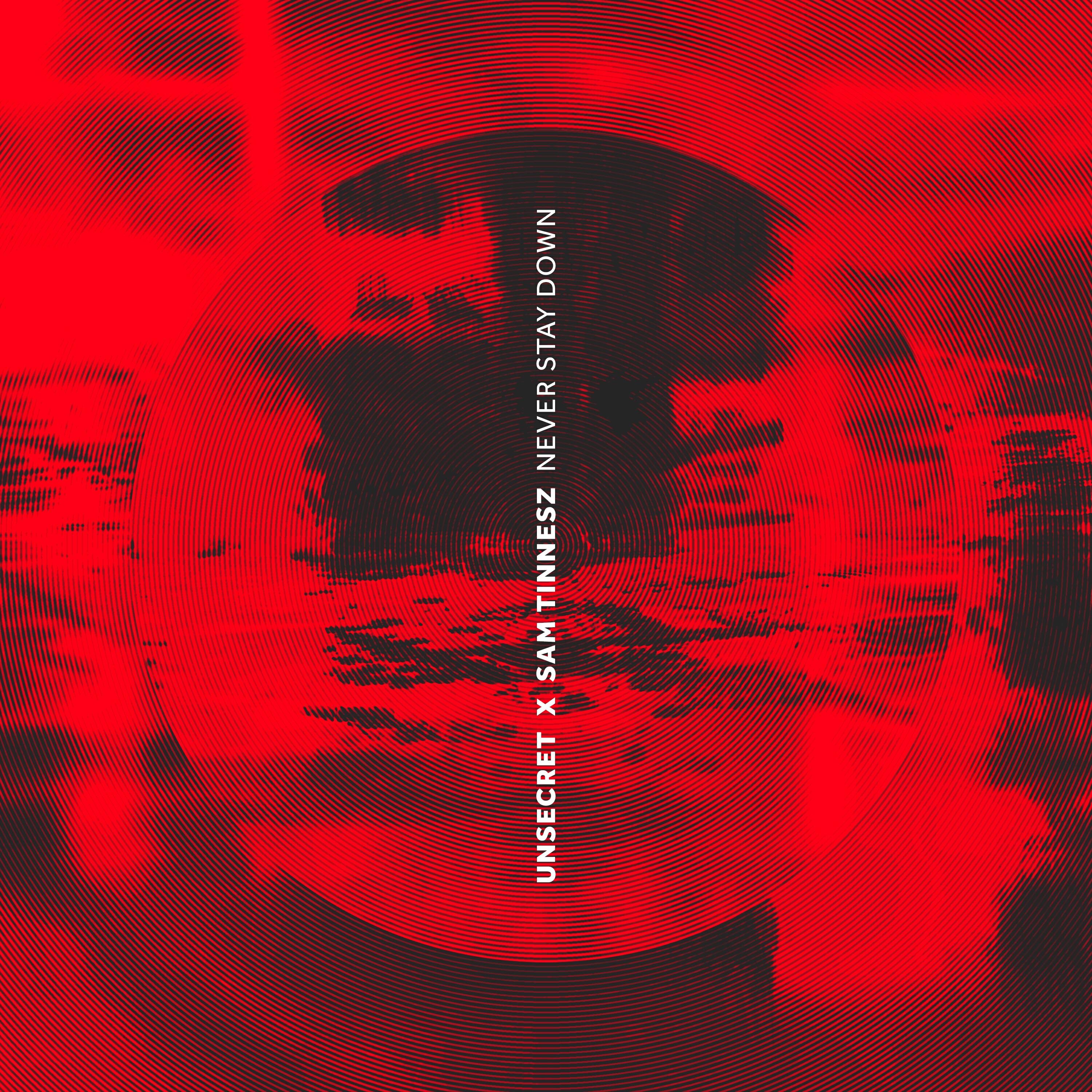 Релиз Never Stay Down