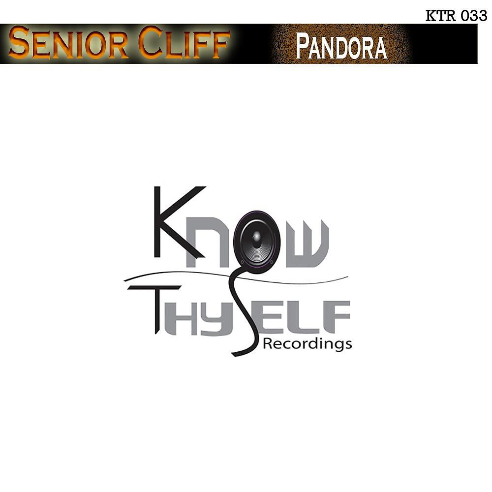 Релиз Pandora