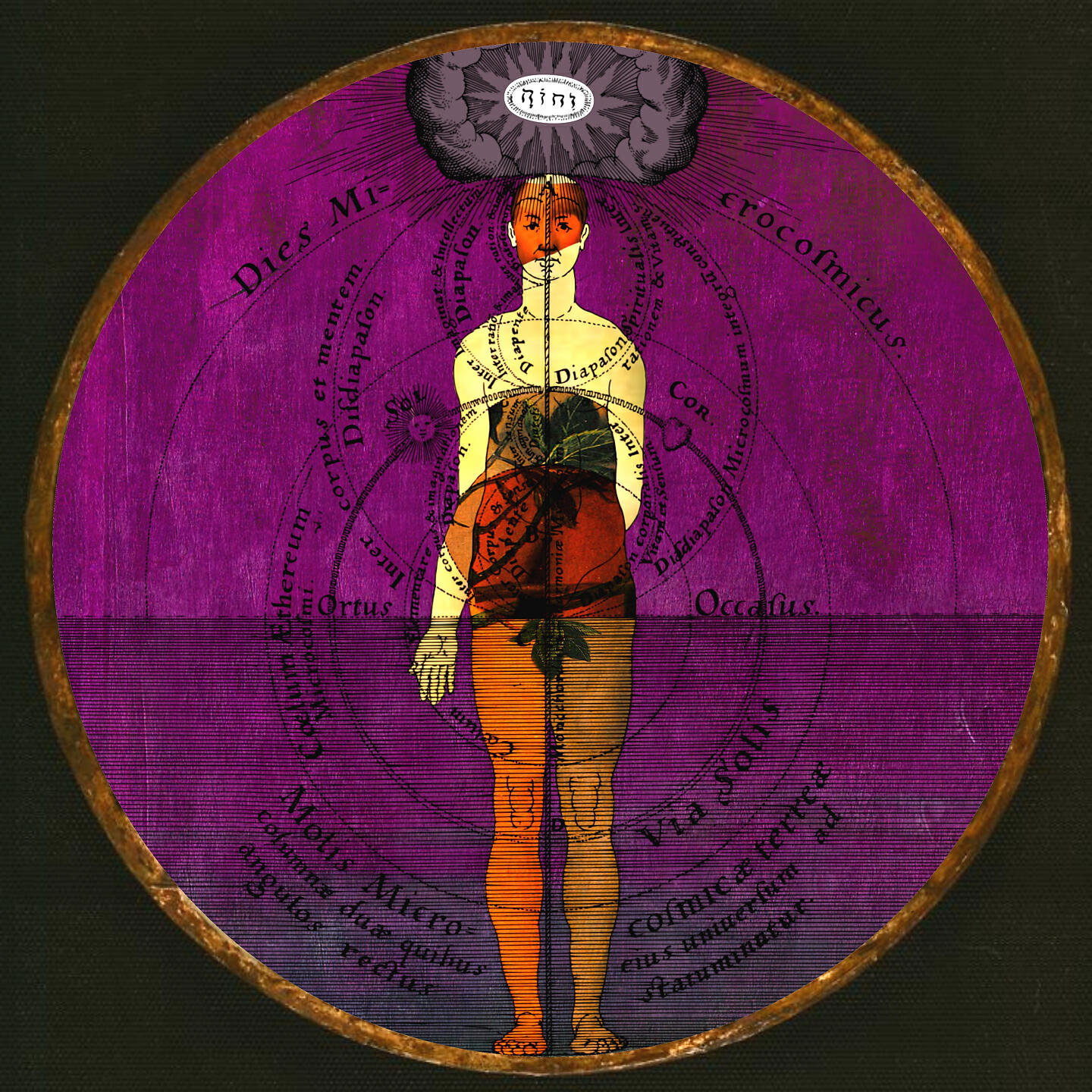 Релиз Omnia Sanctus