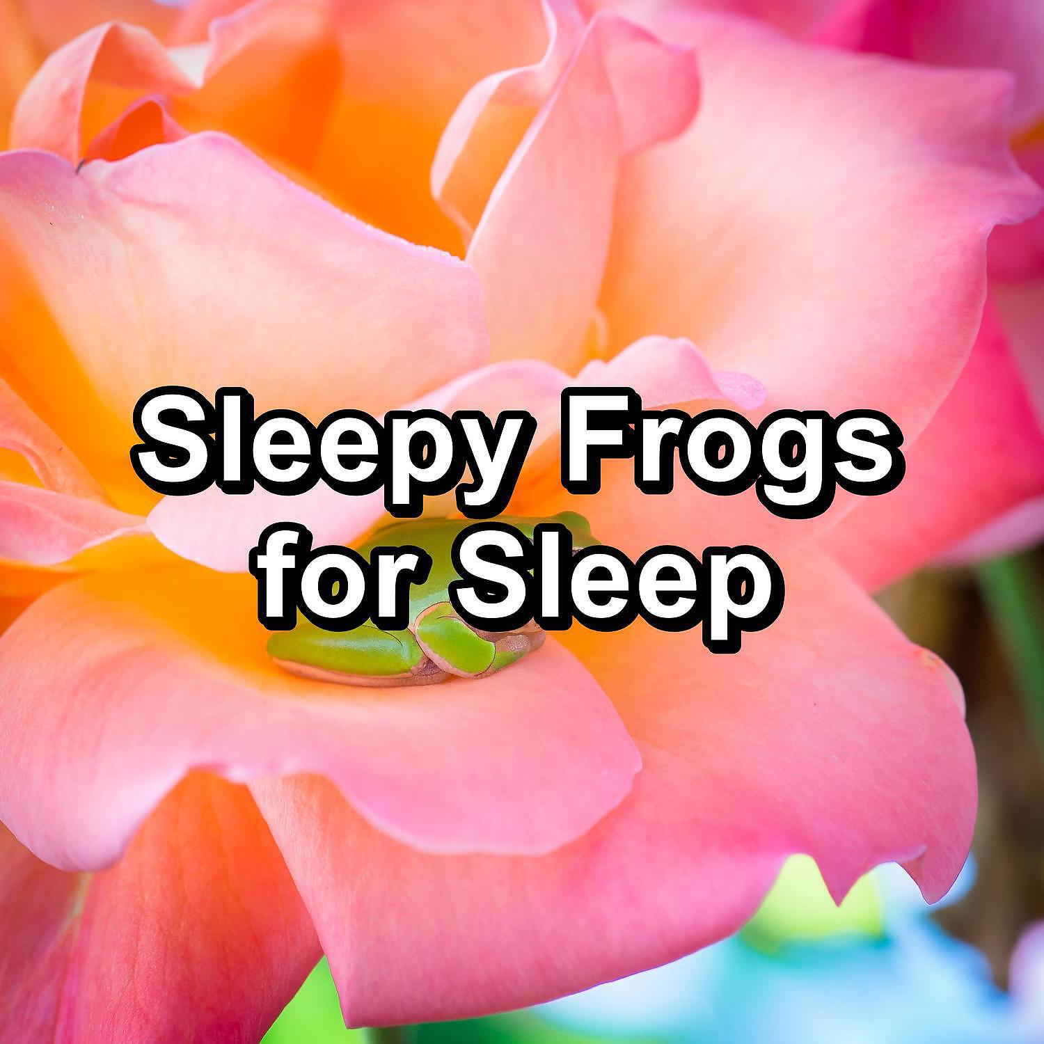 Релиз Sleepy Frogs for Sleep