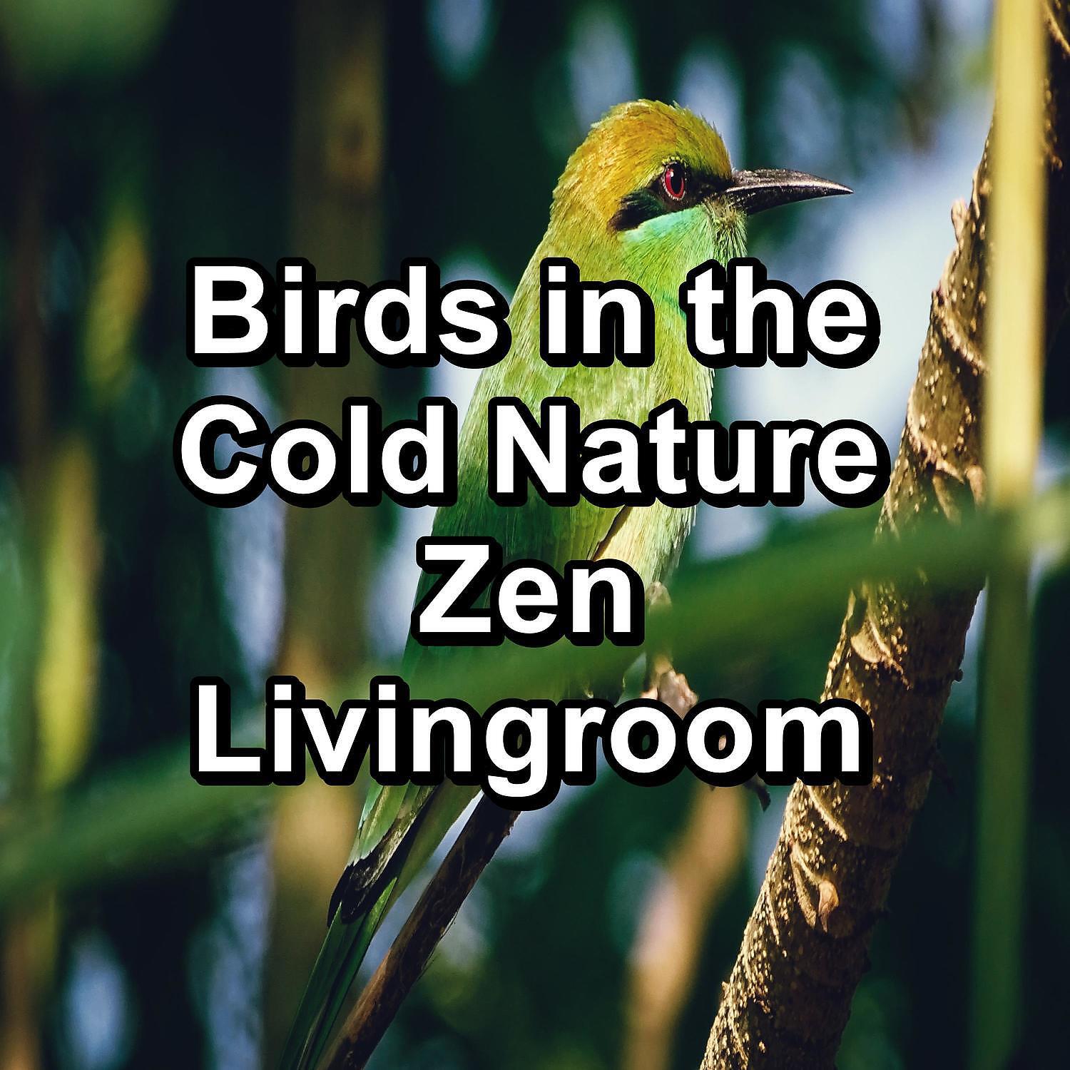 Релиз Birds in the Cold Nature Zen Livingroom