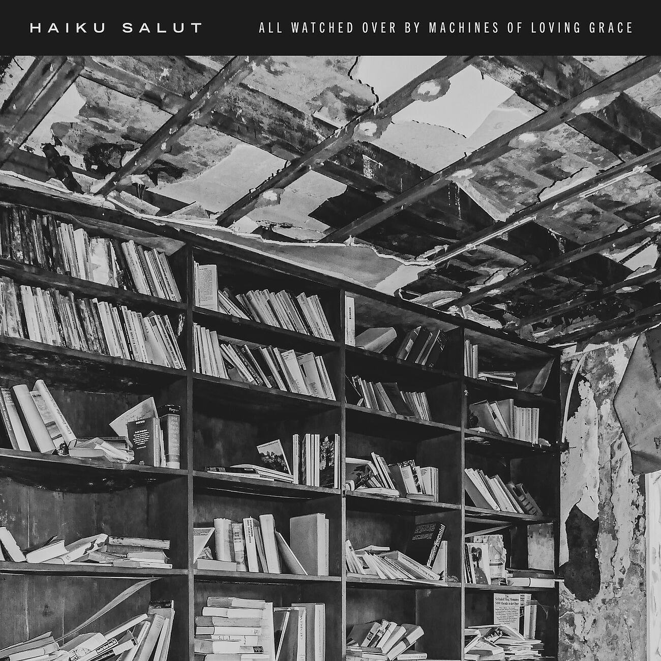 Релиз All Watched Over By Machines Of Loving Grace