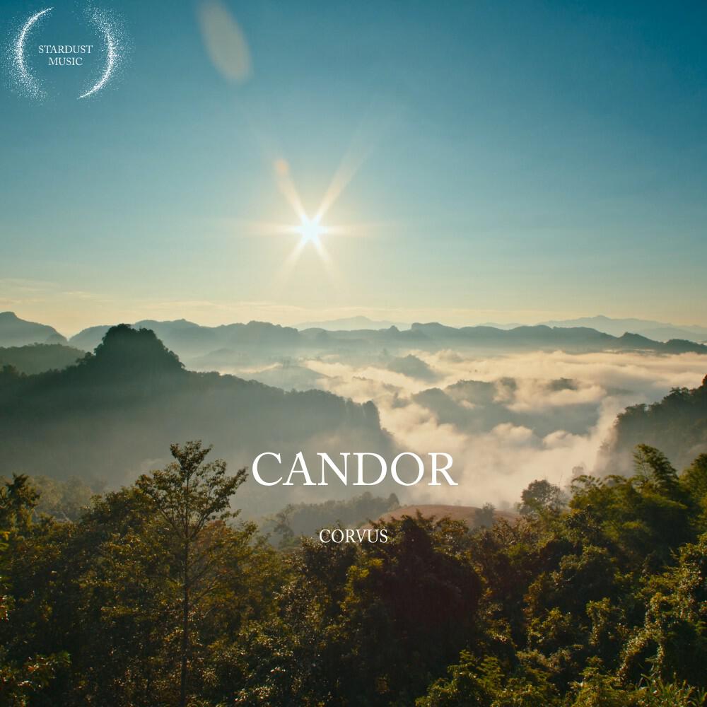 Релиз Candor