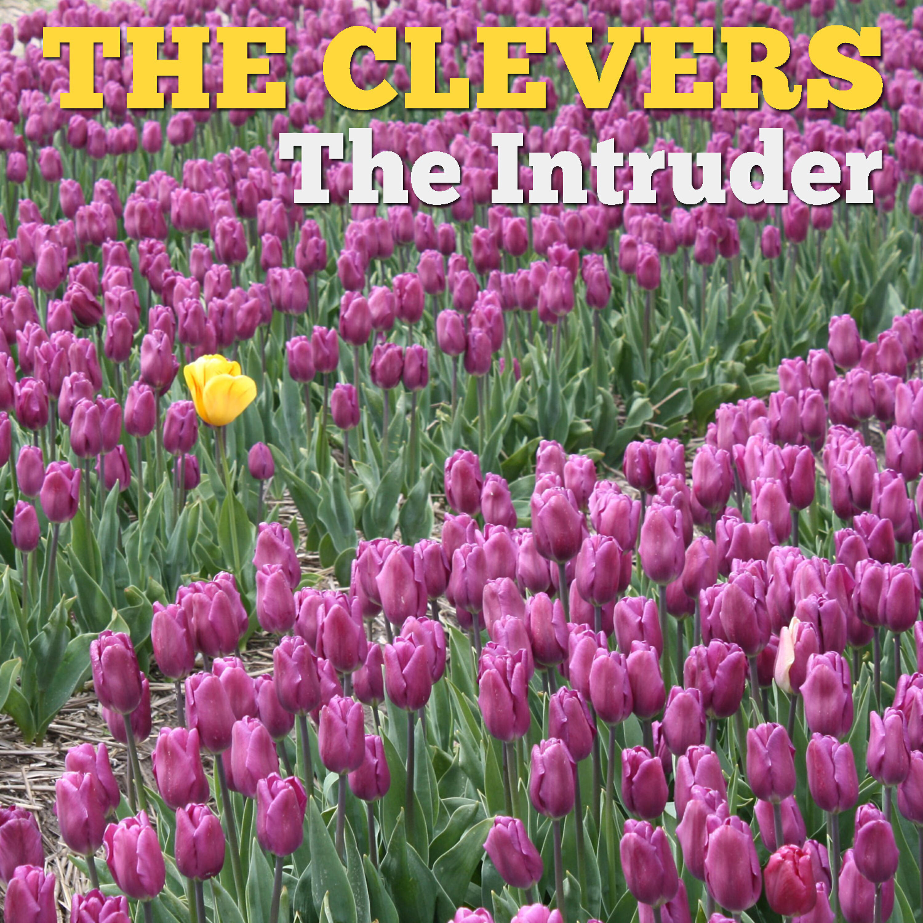 Релиз The Intruder