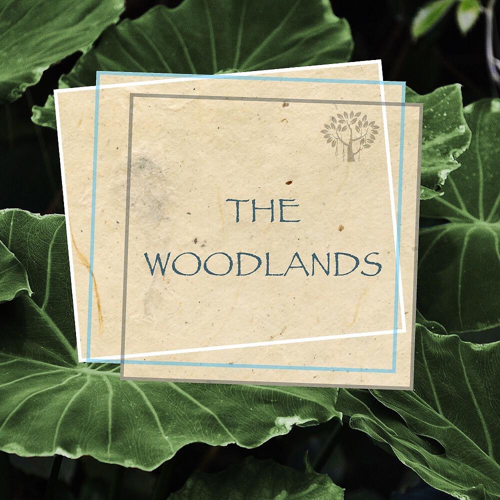 Релиз The Woodlands