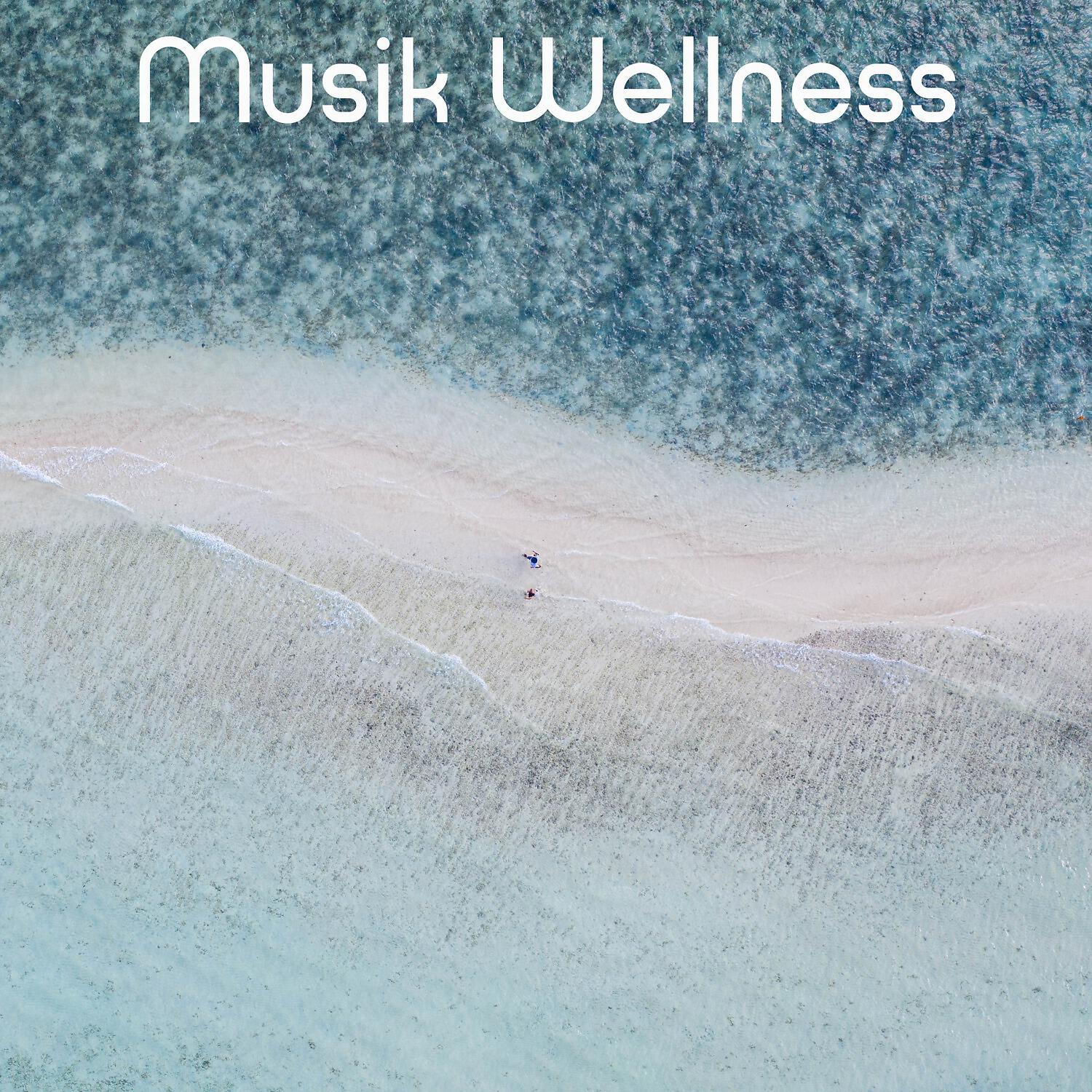 Релиз Musik Wellness