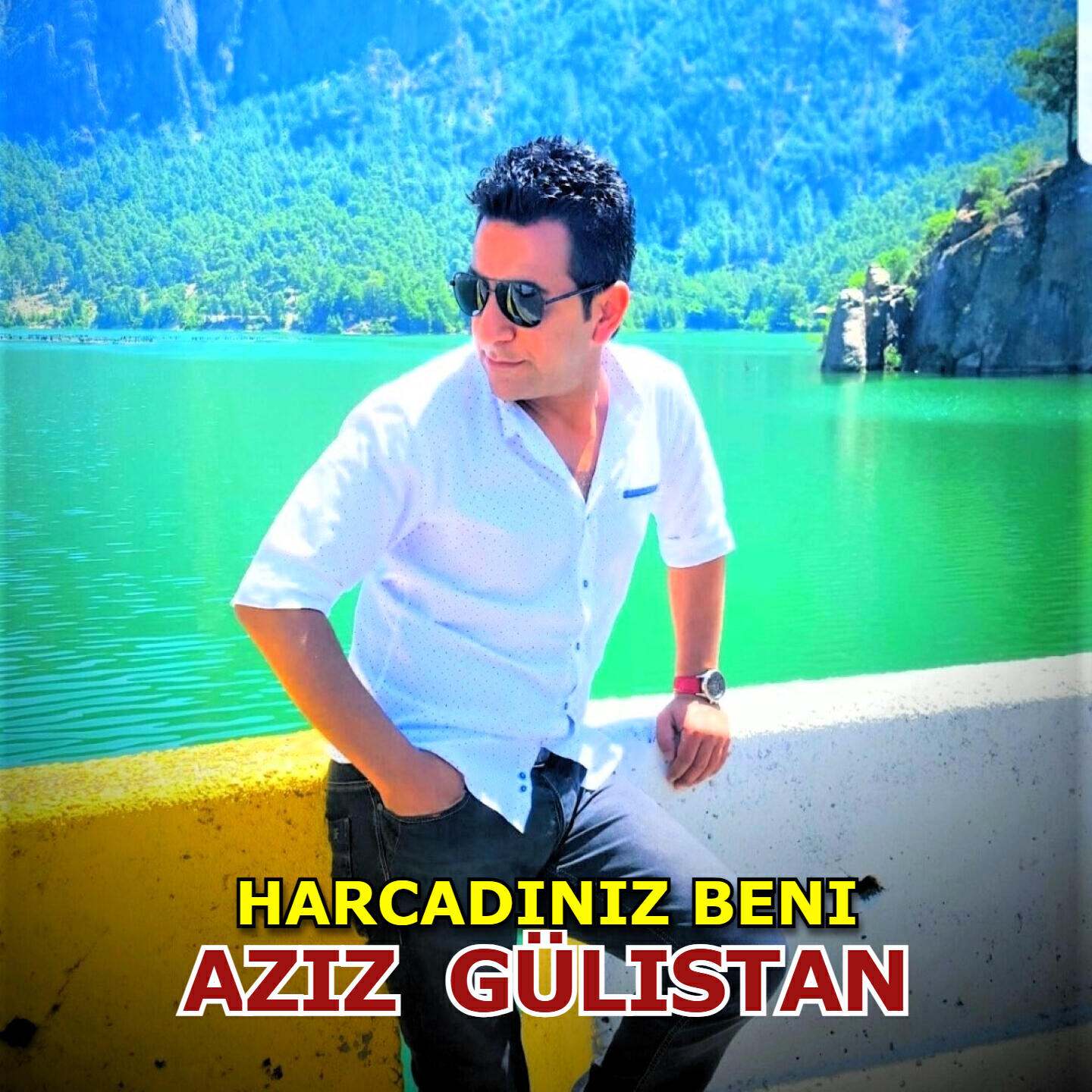 Релиз Harcadınız Beni