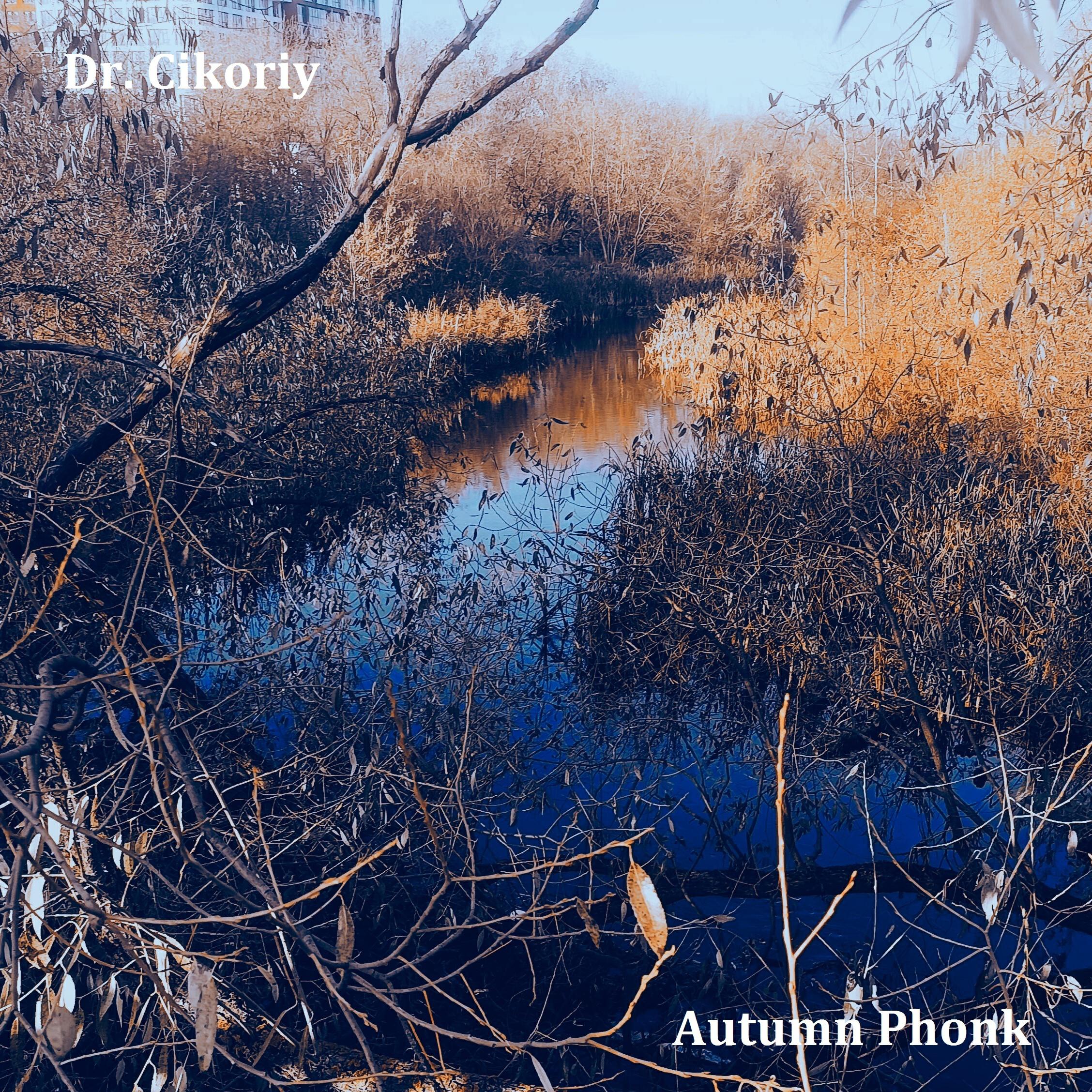 Релиз Autumn Phonk