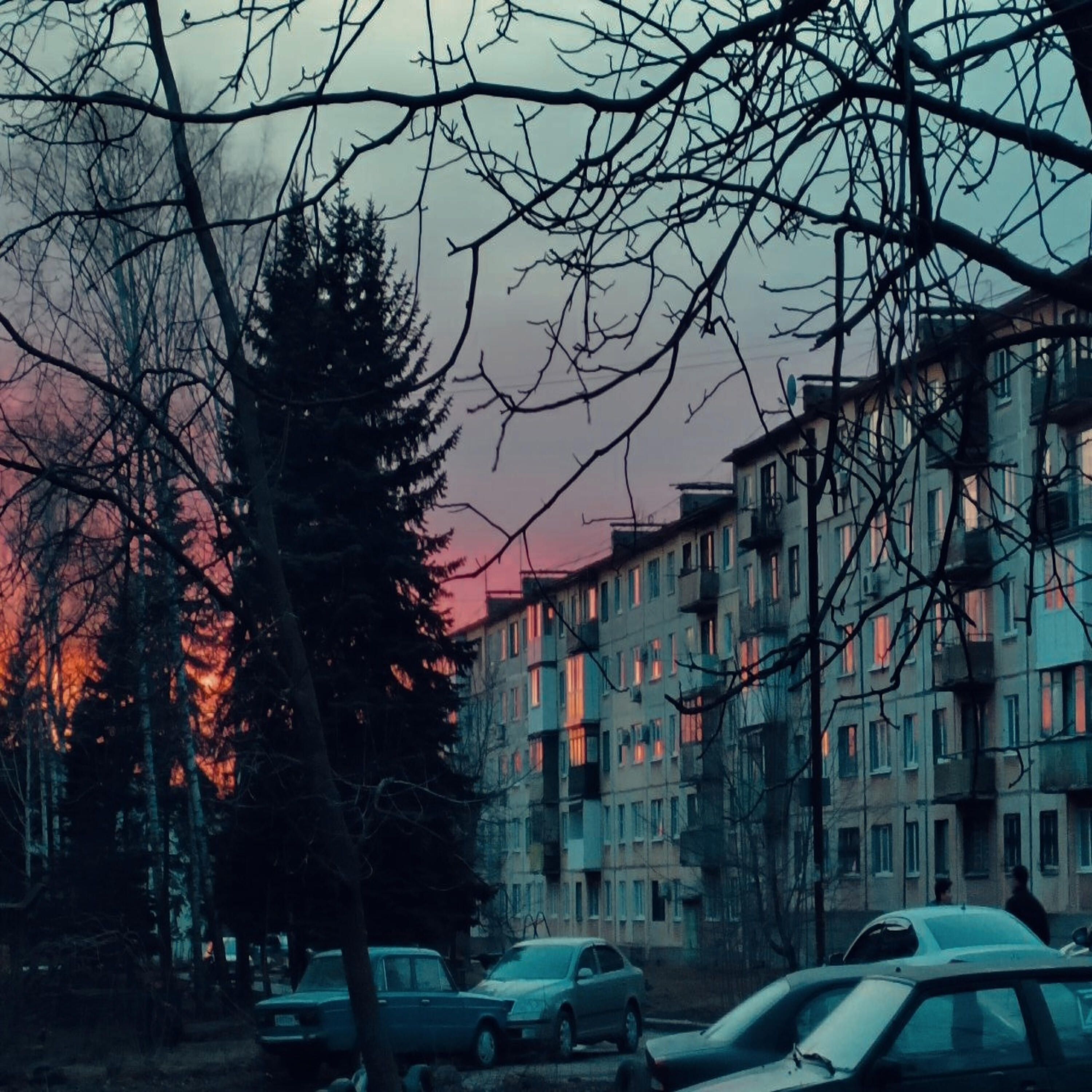 Релиз Not Cuteplugg