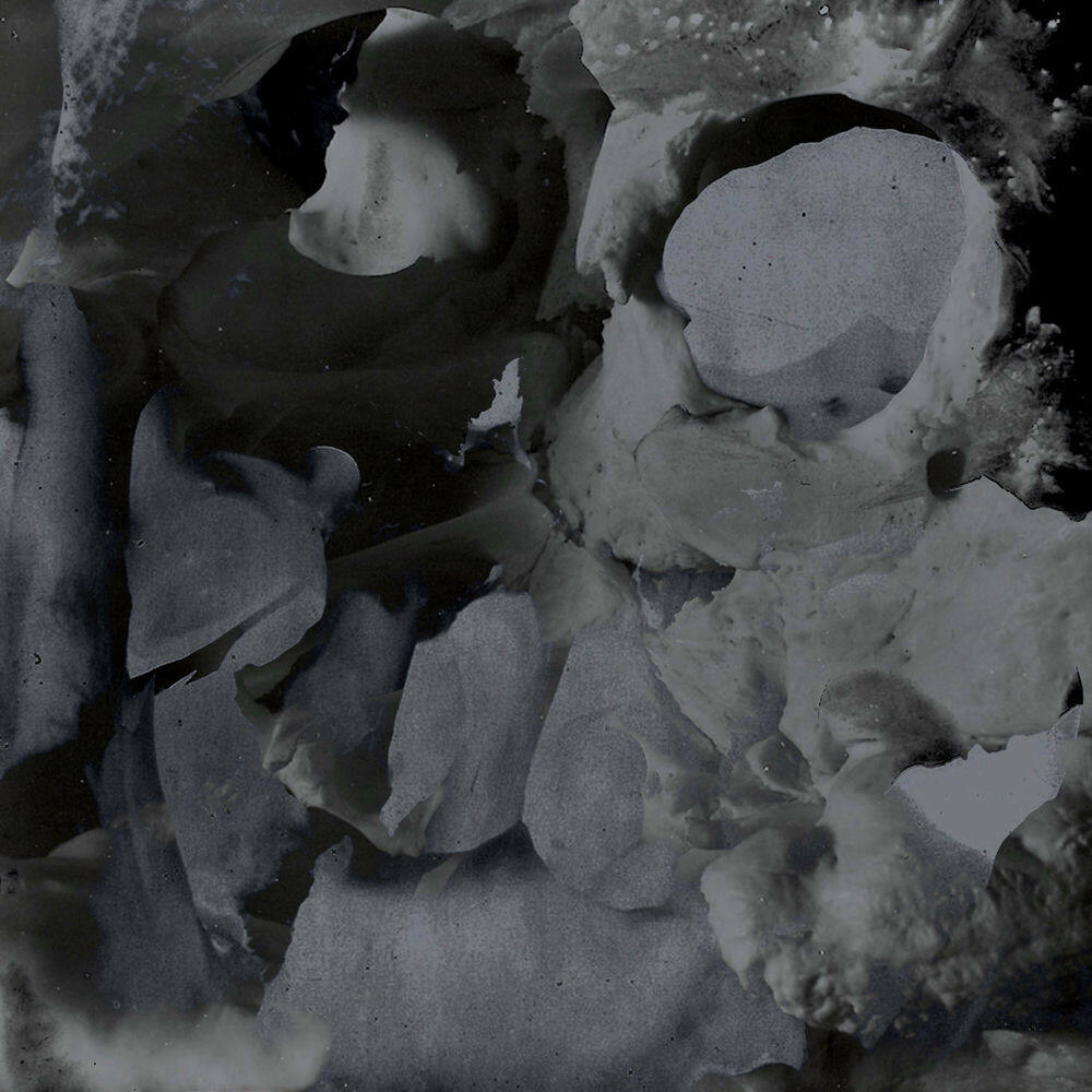 Релиз Aequorin