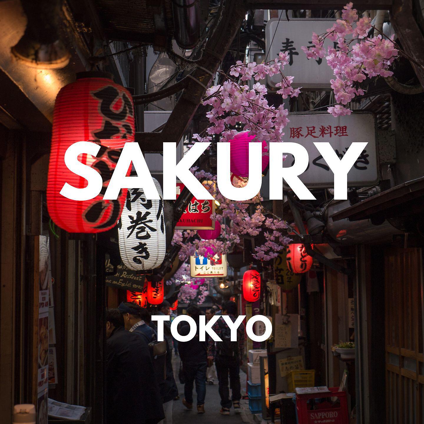 Релиз Tokyo