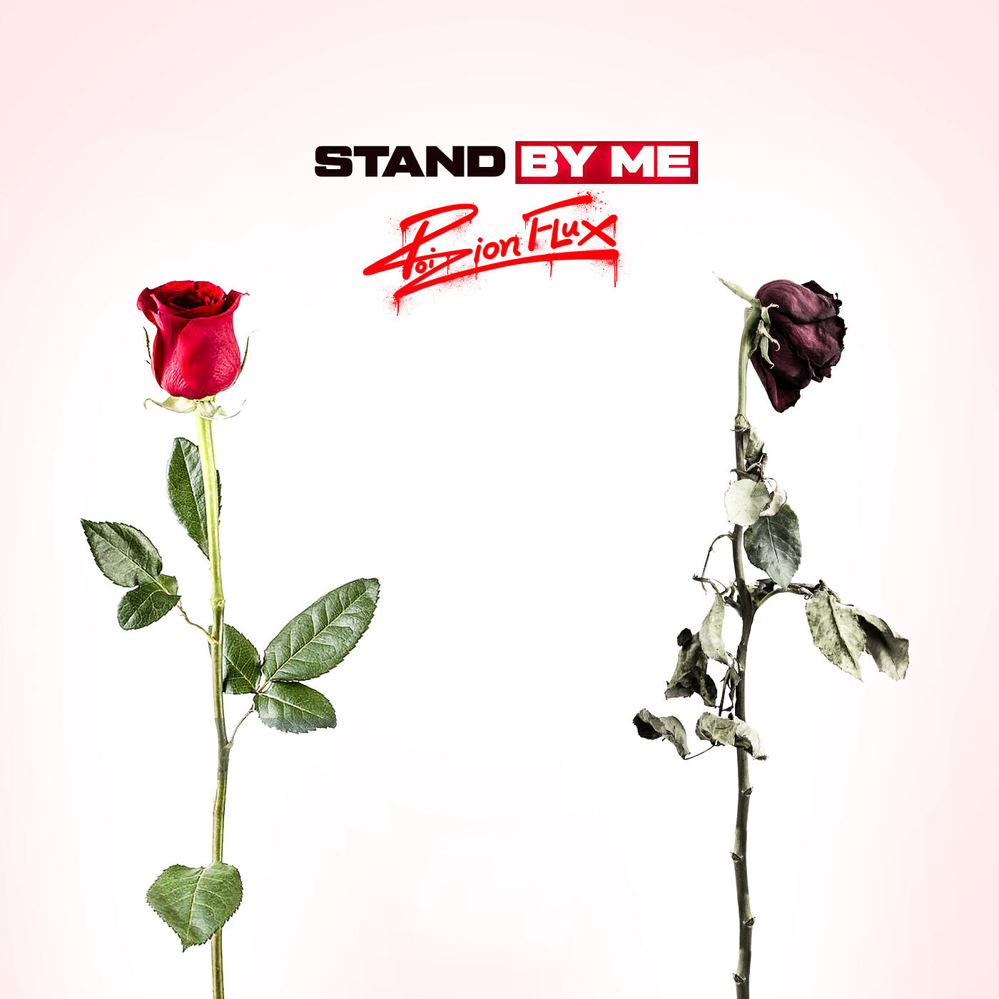 Релиз Stand by Me