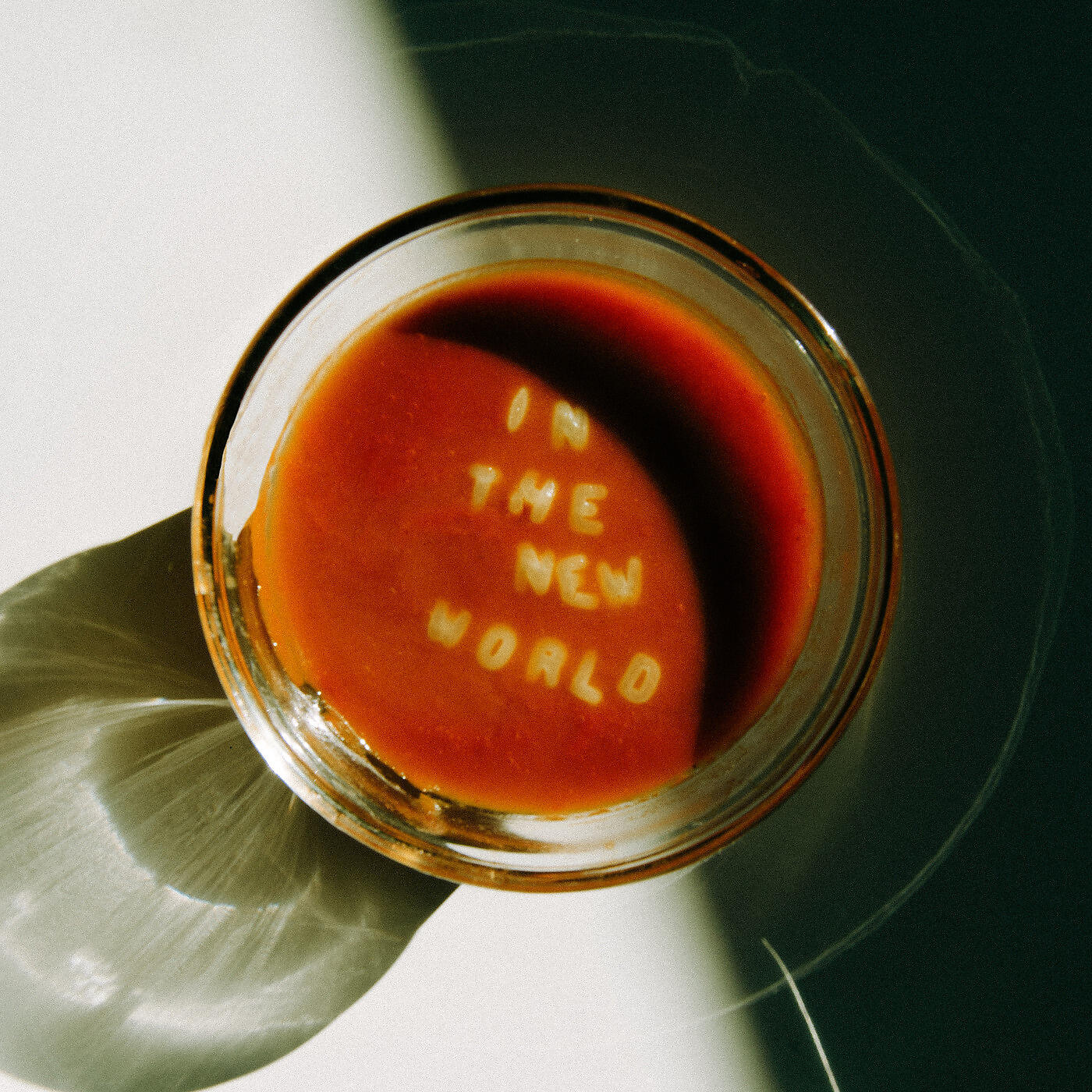 Релиз In the New World
