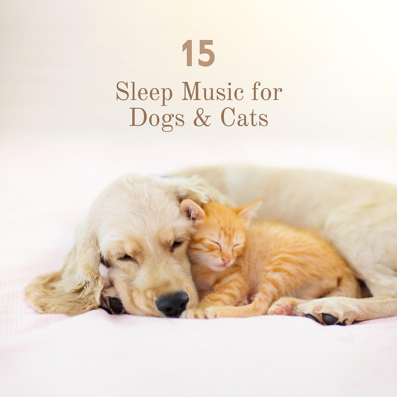 Постер альбома 15 Sleep Music for Dogs & Cats