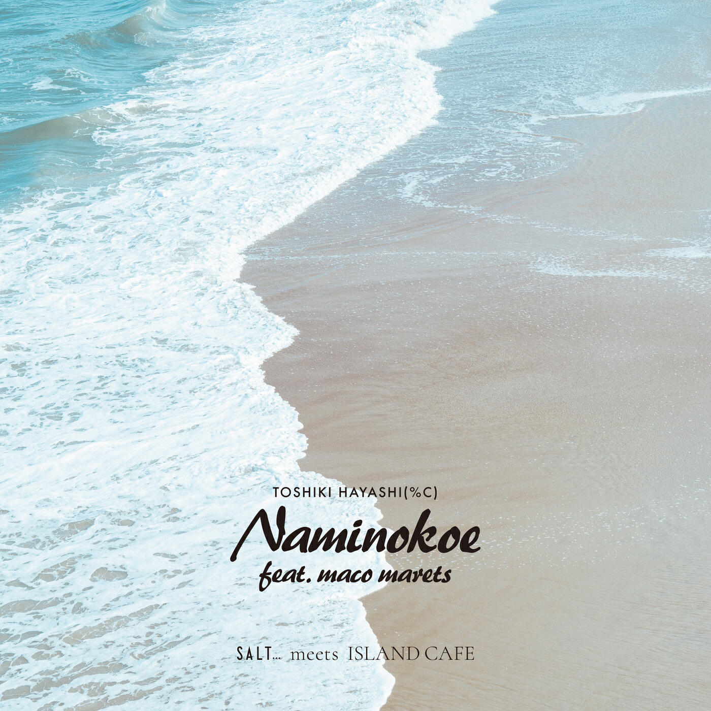 Релиз Naminokoe