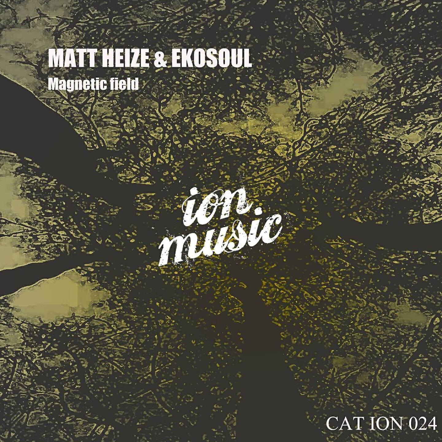 Matt Heize