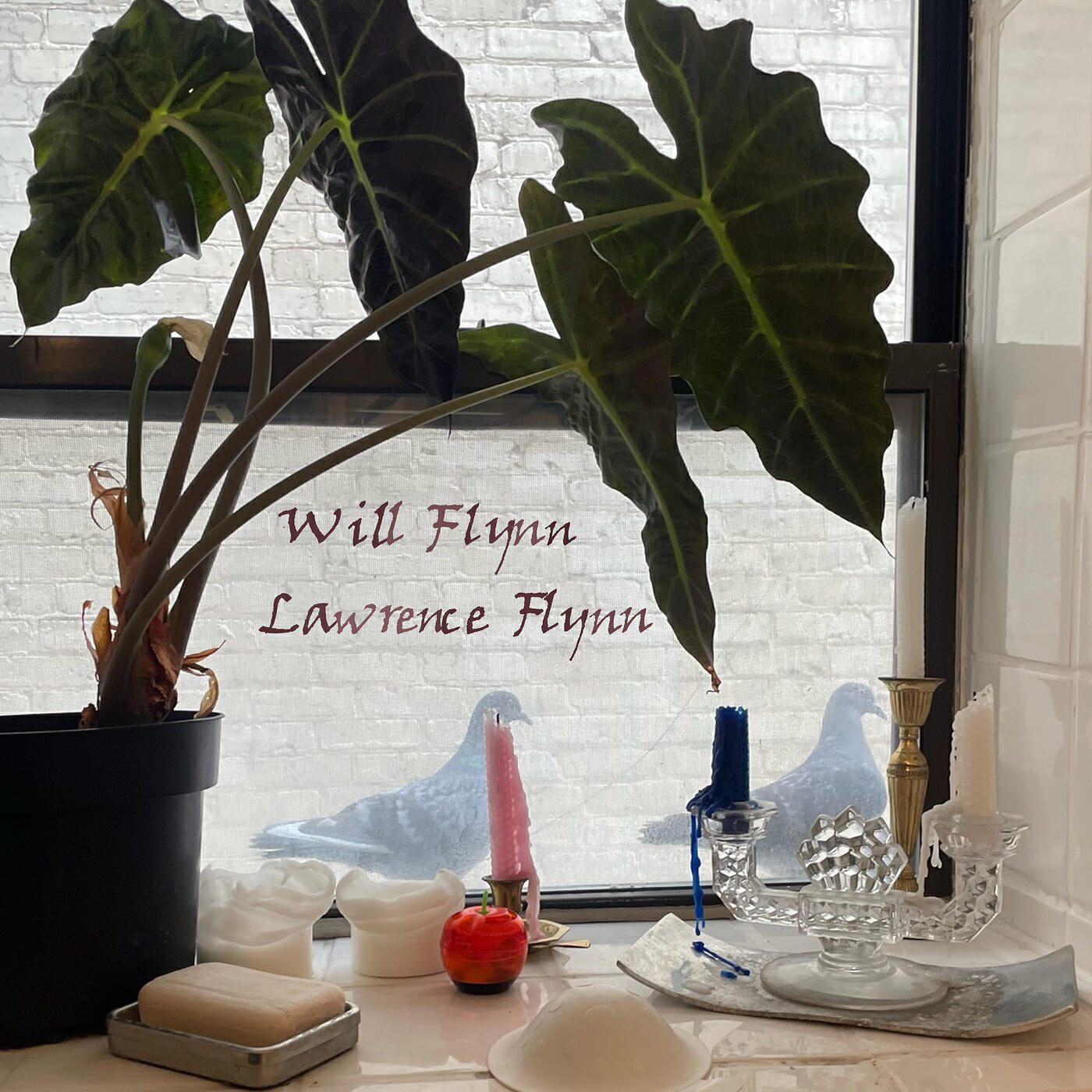 Will Flynn