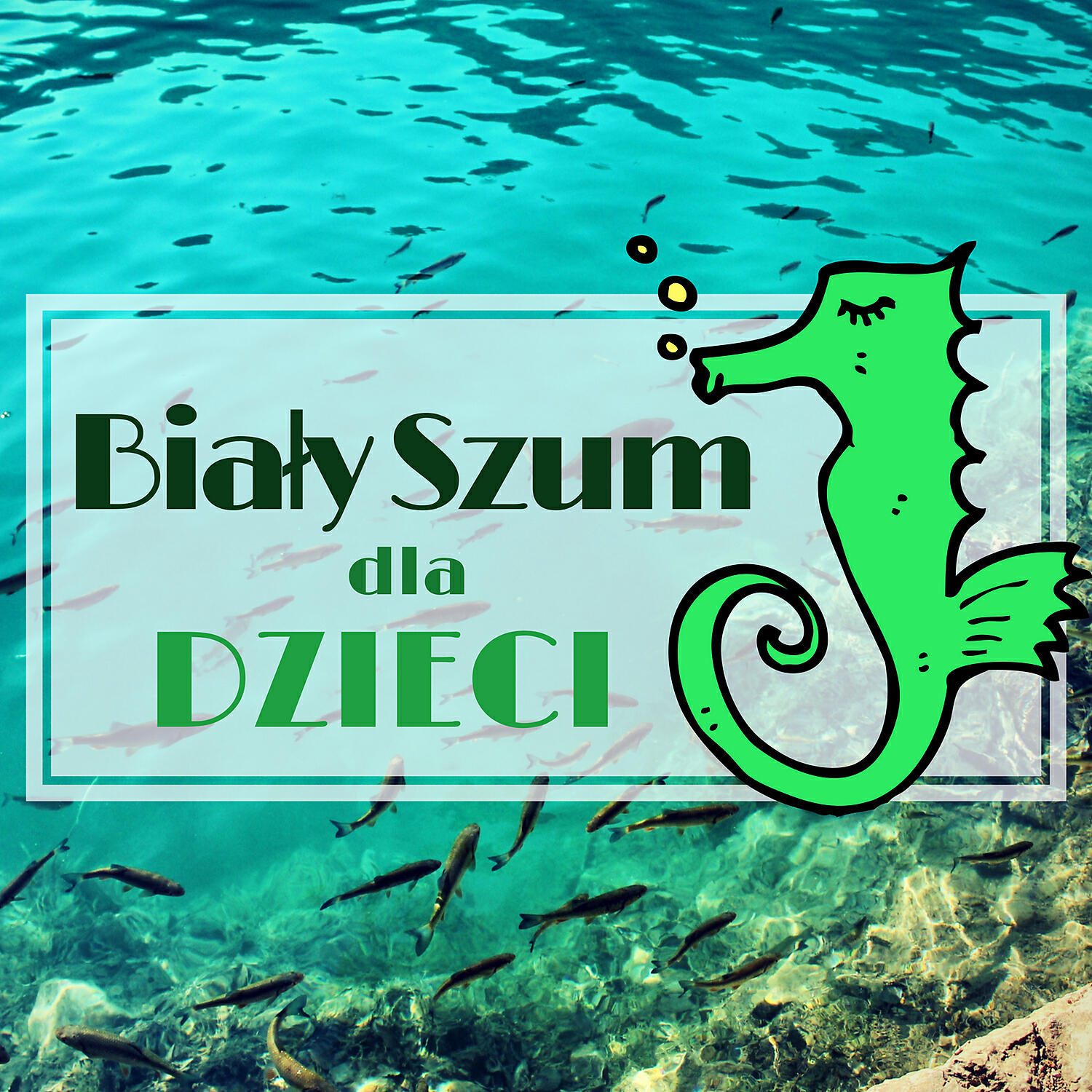 Kojaca Muzyka