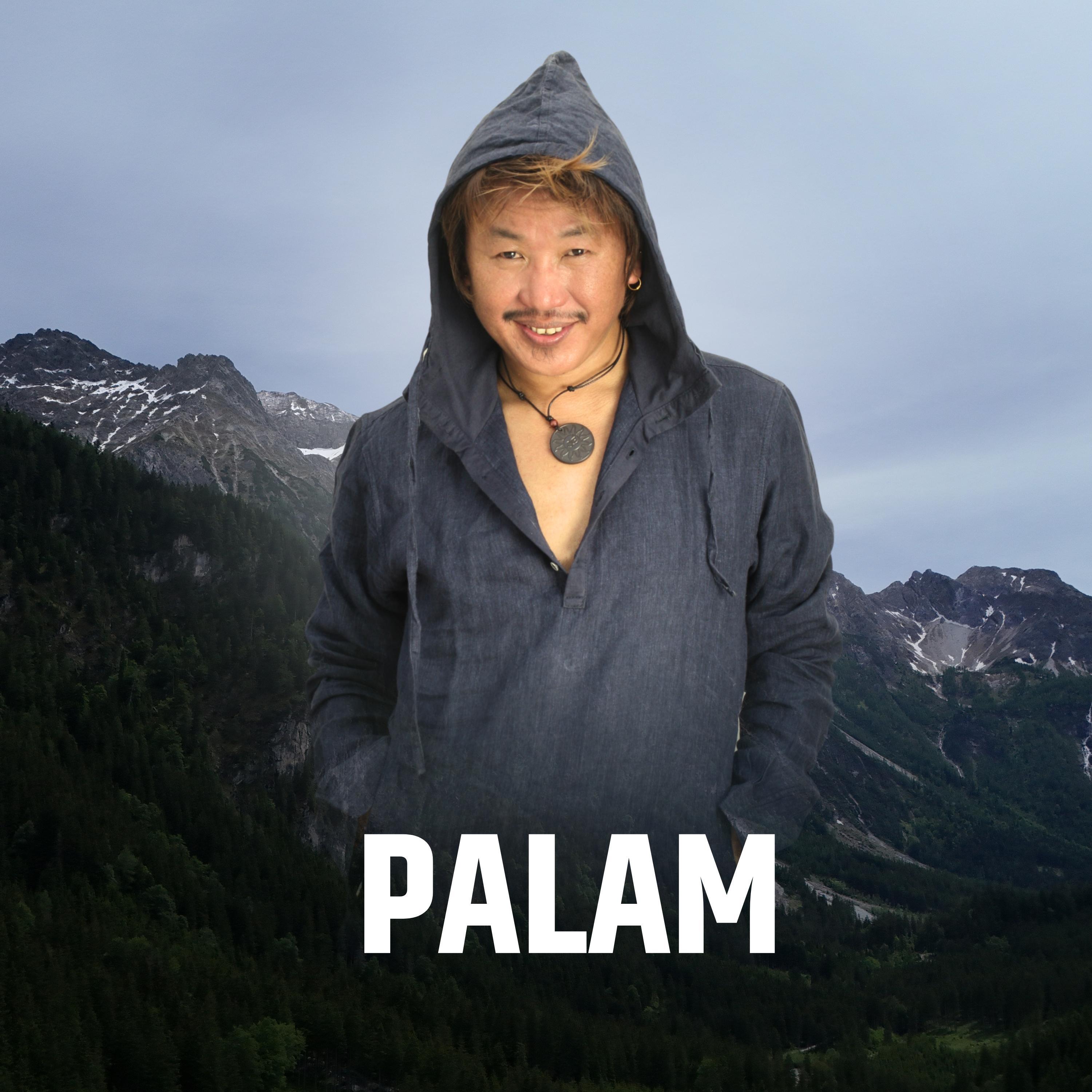 Релиз Palam