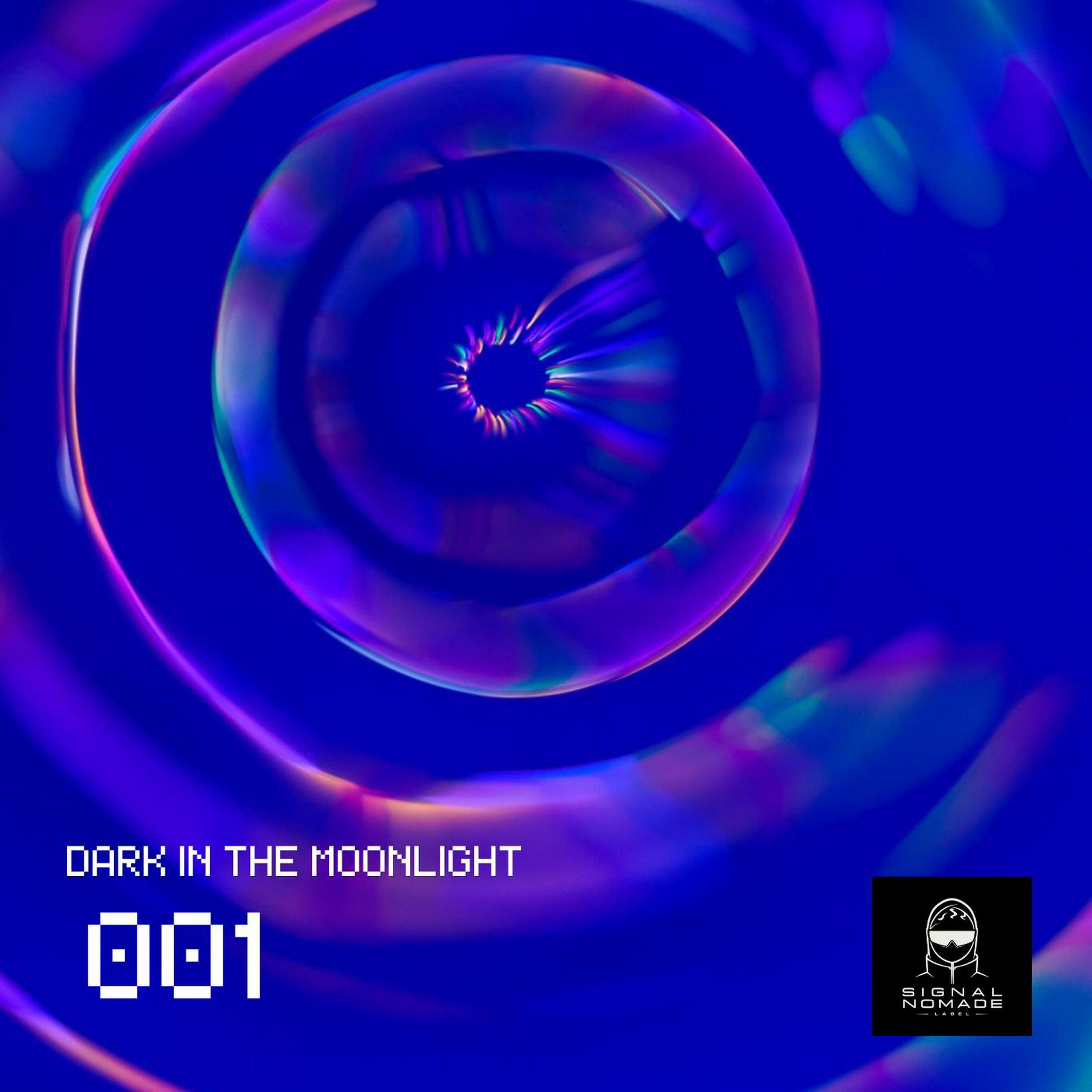 Релиз Dark In The Moonlight