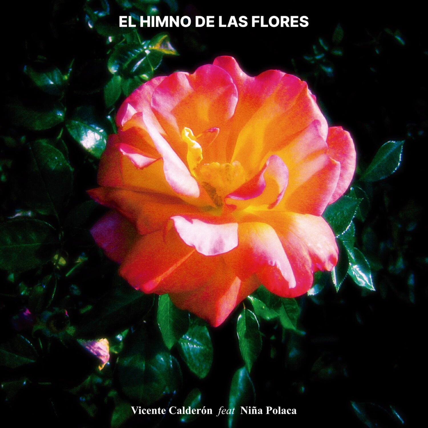 Релиз Himno de las flores