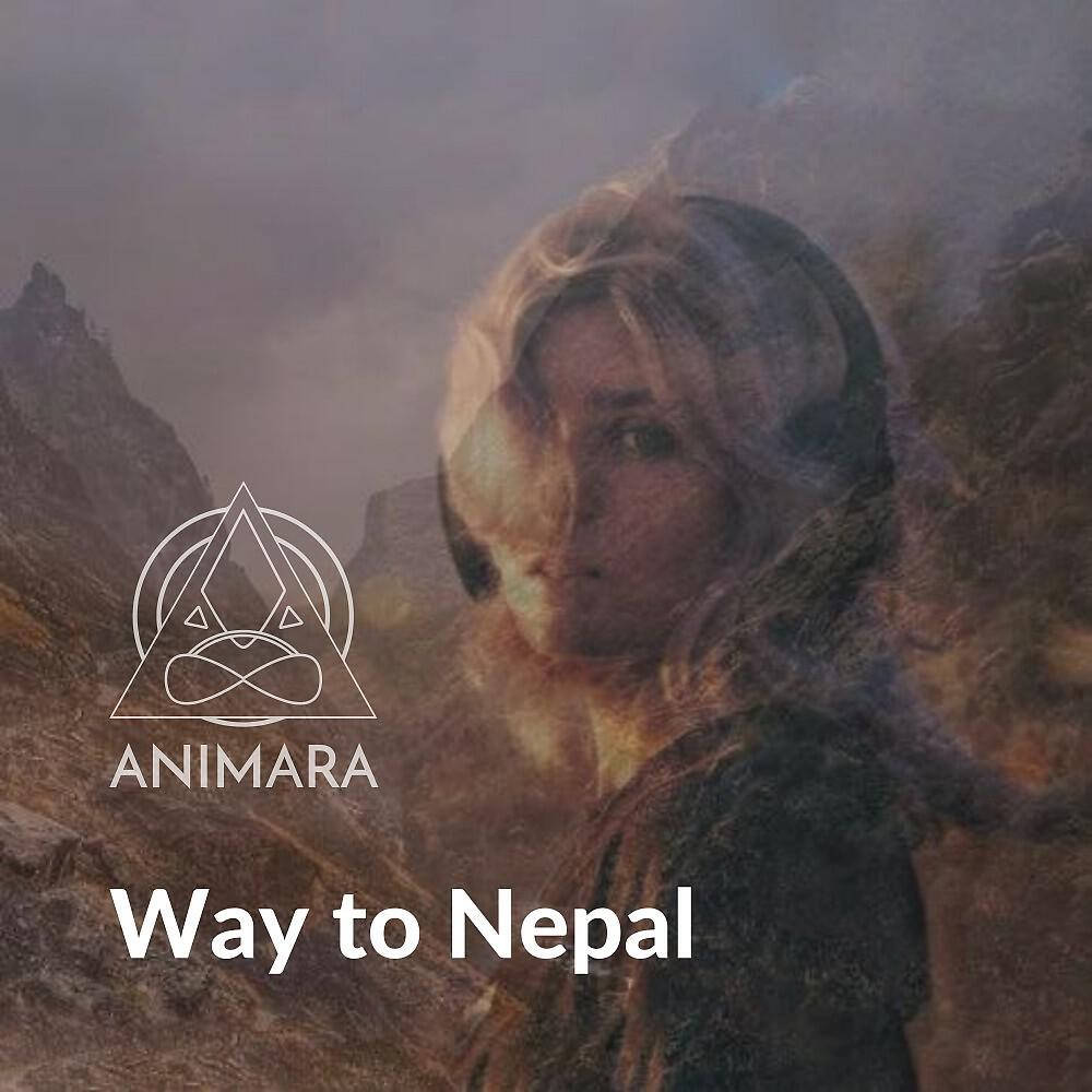 Релиз Way to Nepal