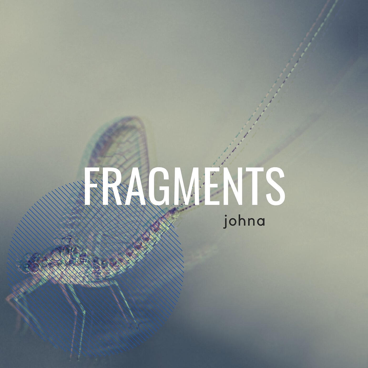 Релиз Fragments