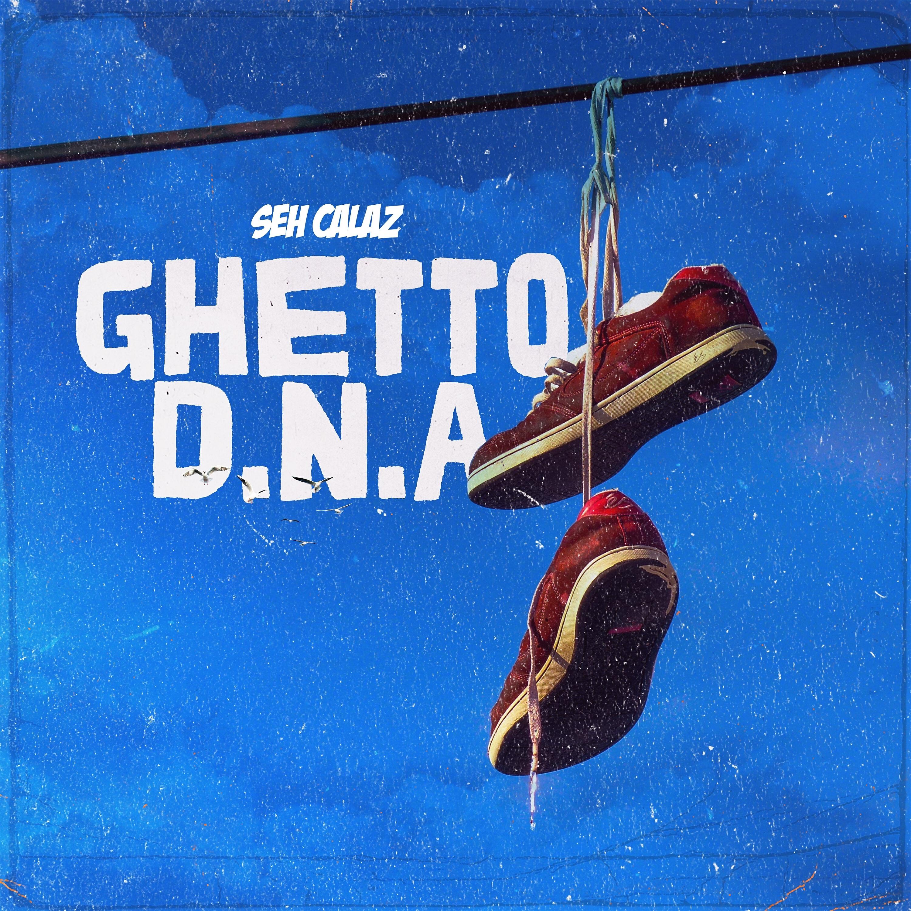 Релиз Ghetto D.N.A
