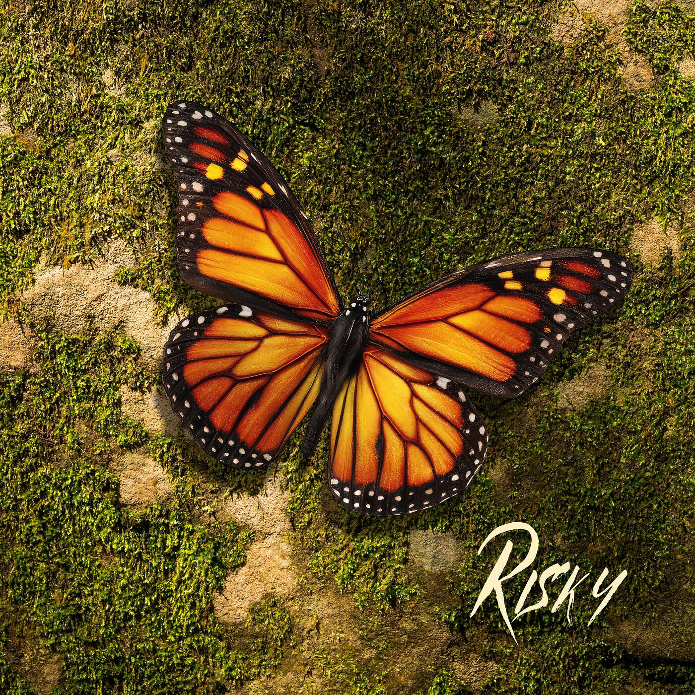 Релиз Risky