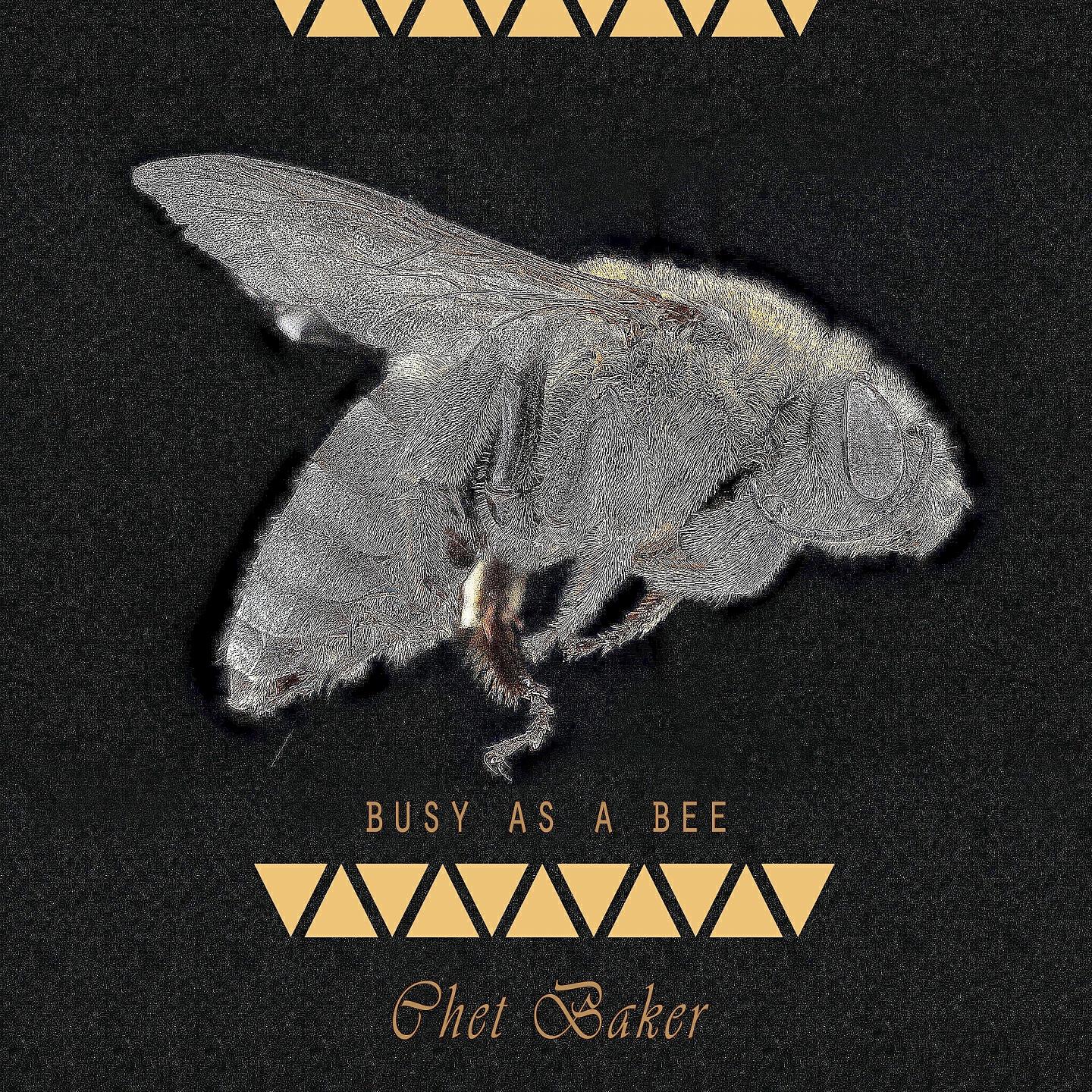Релиз Busy As A Bee