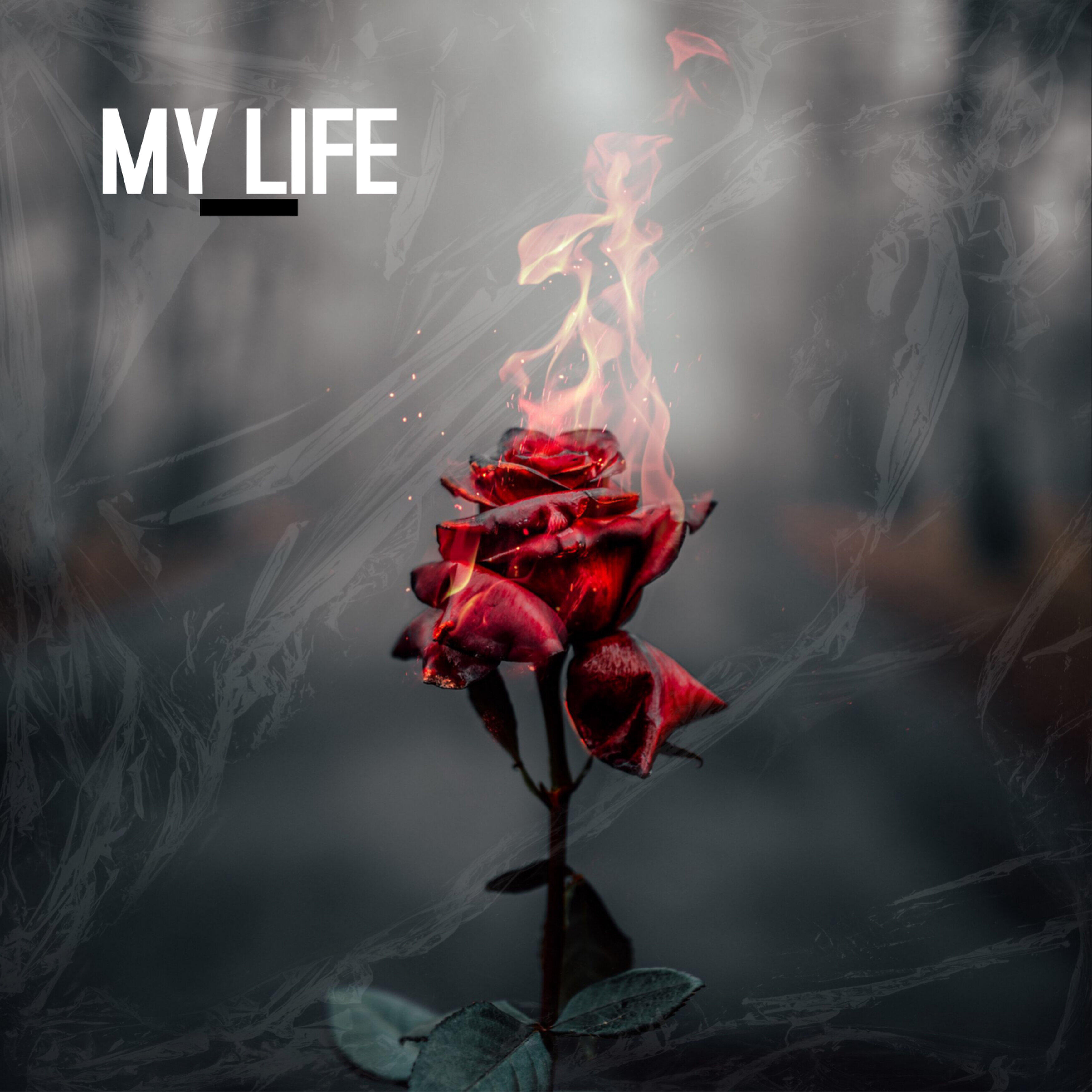 Релиз My Life