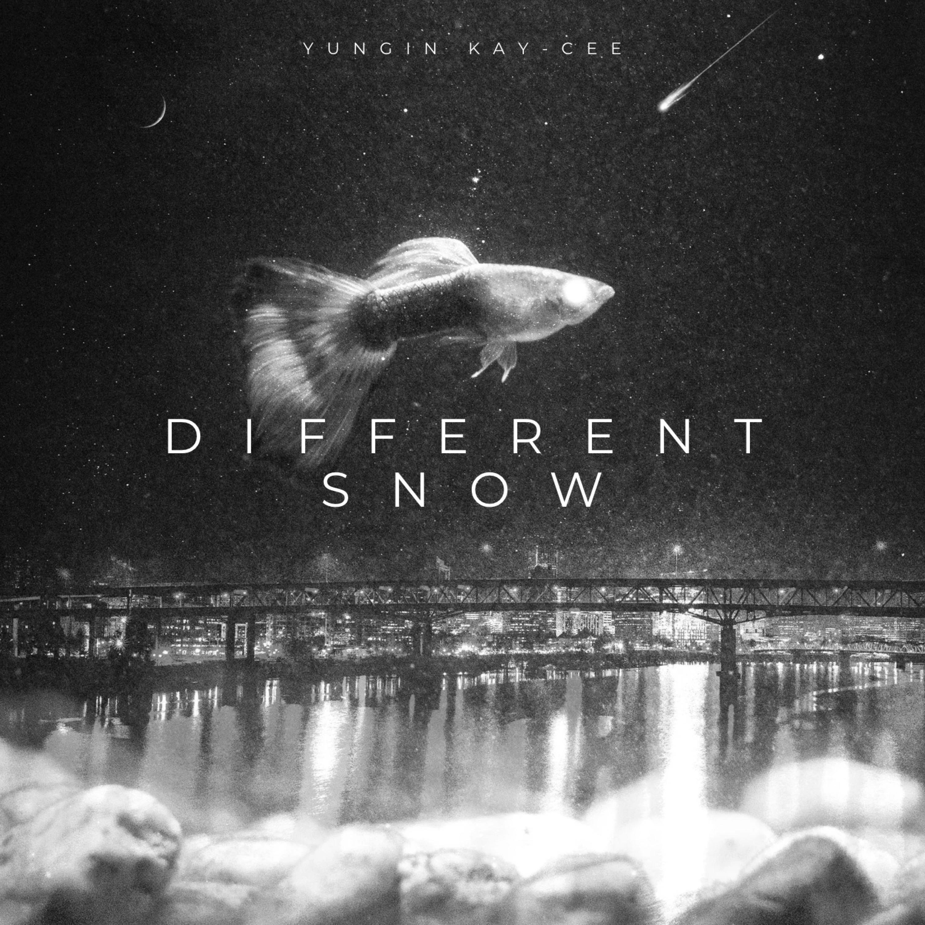 Релиз Different Snow