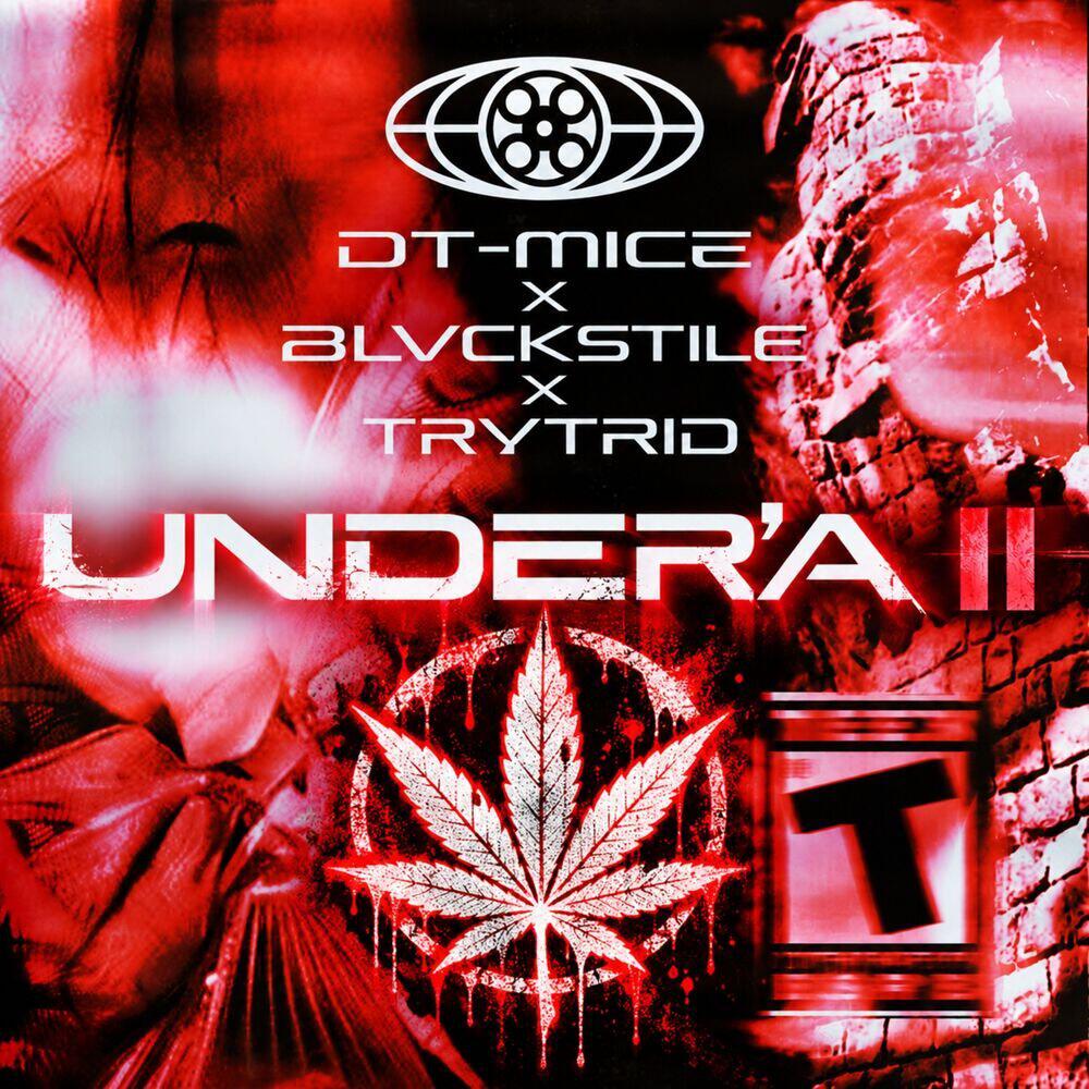 DT-MICE