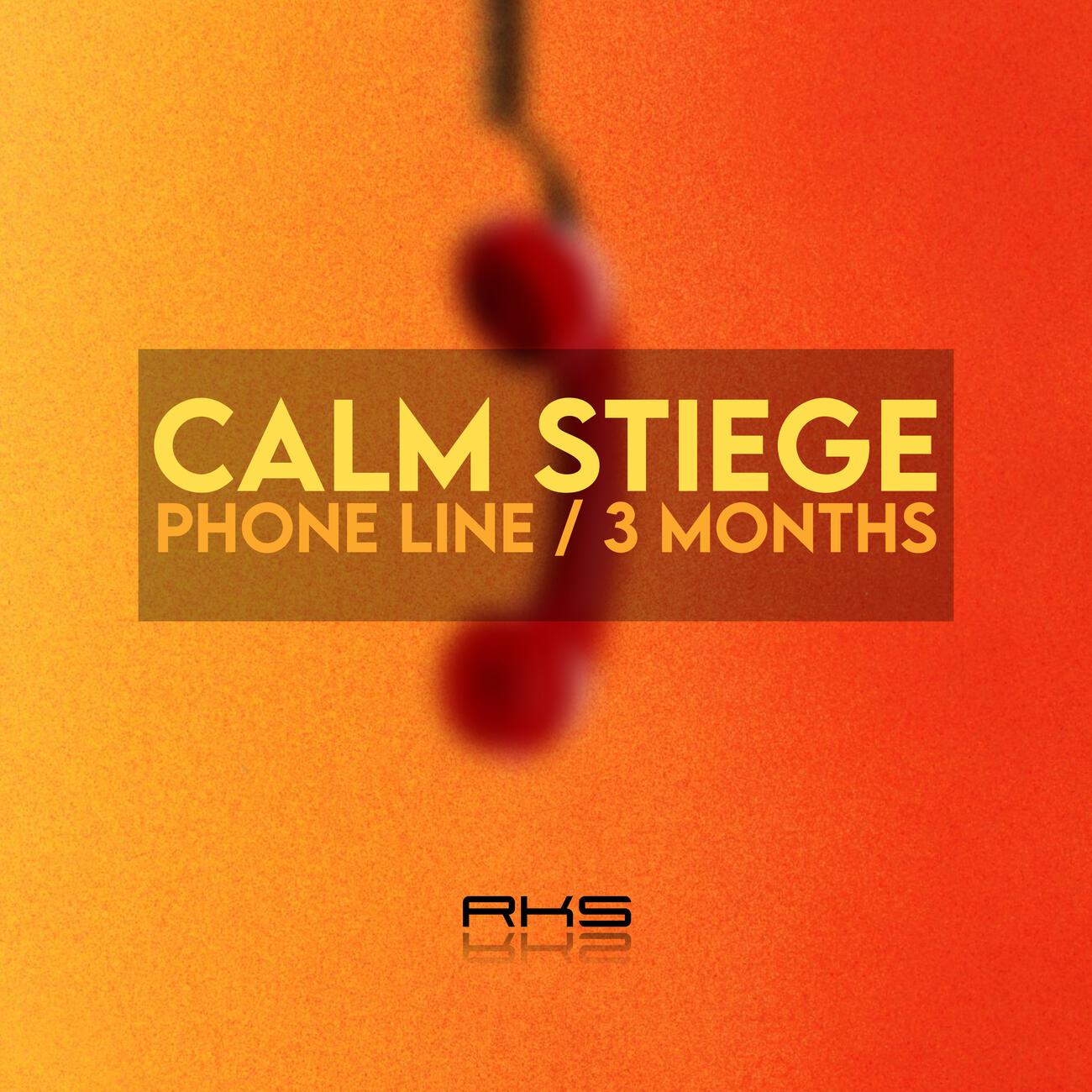 Релиз 3 Months / Phone Line