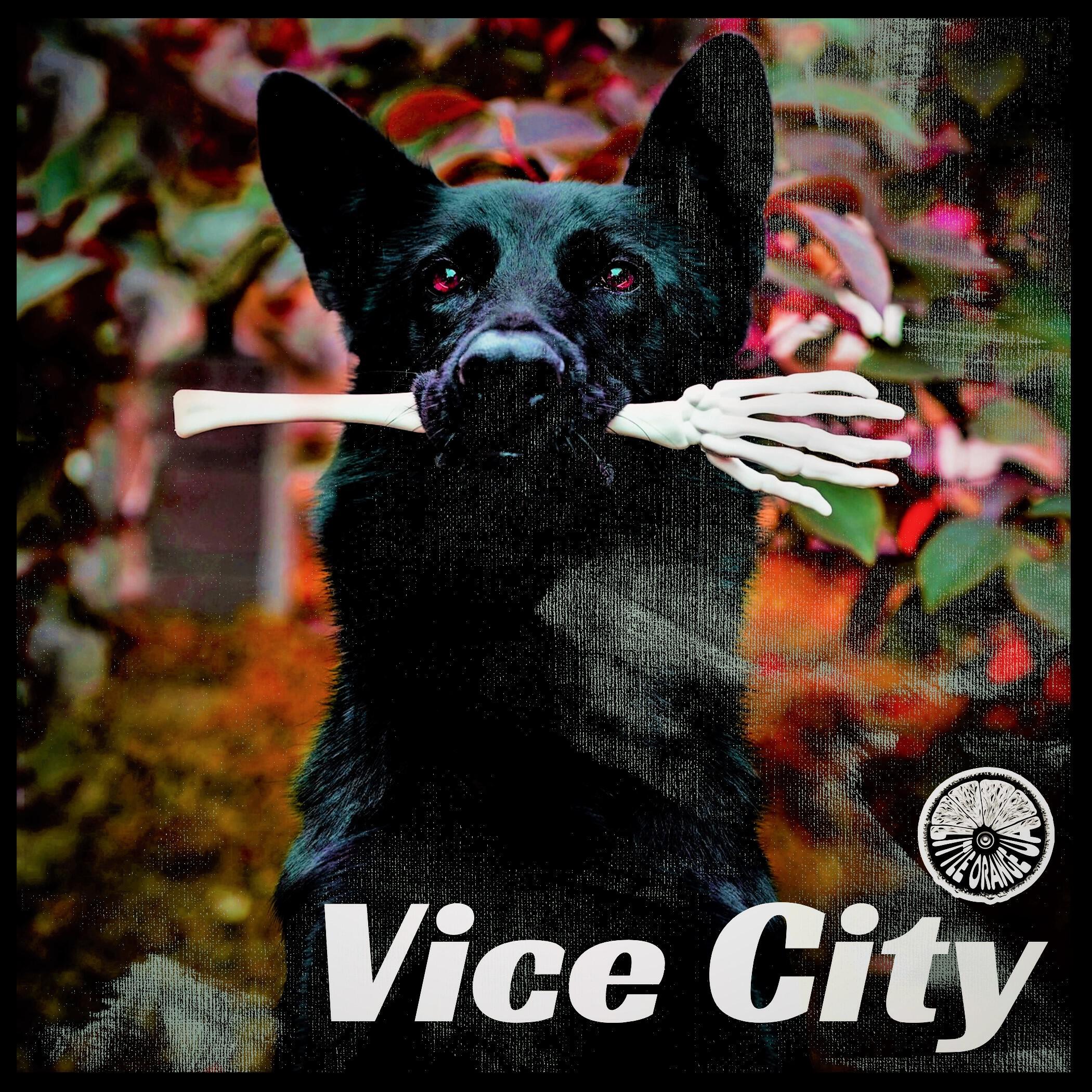 Постер альбома Vice City