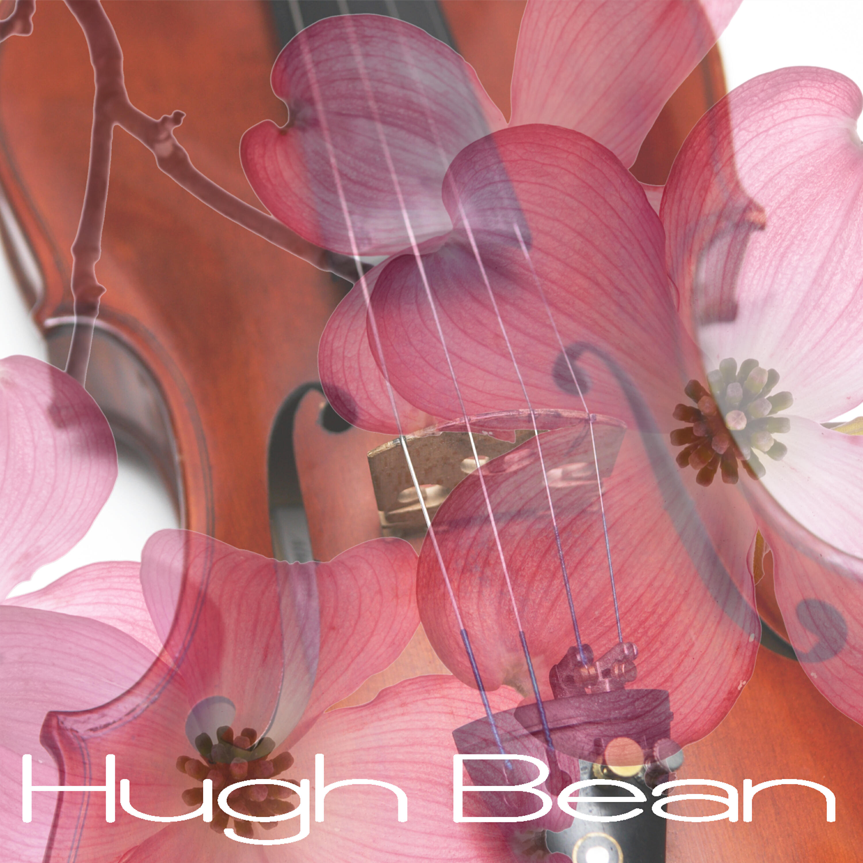 Релиз Hugh Bean