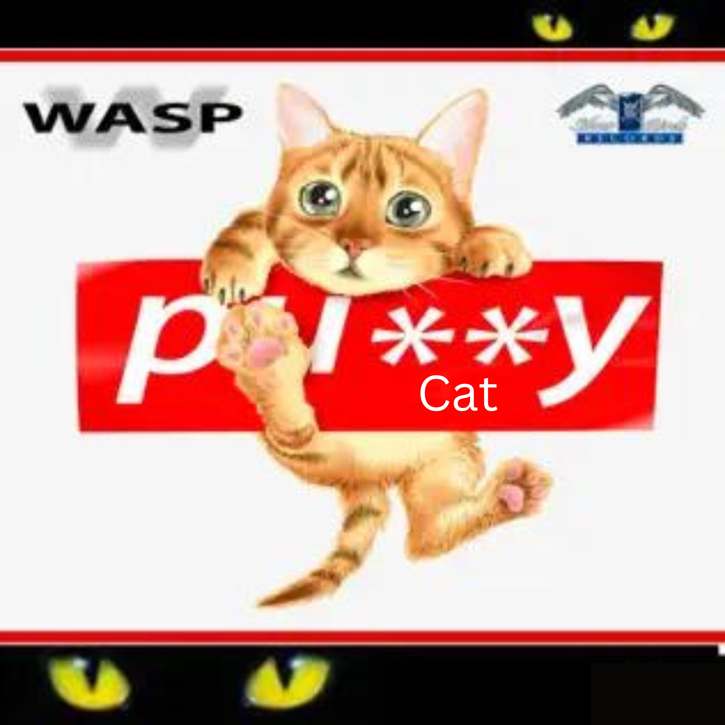 Релиз Pussy Cat