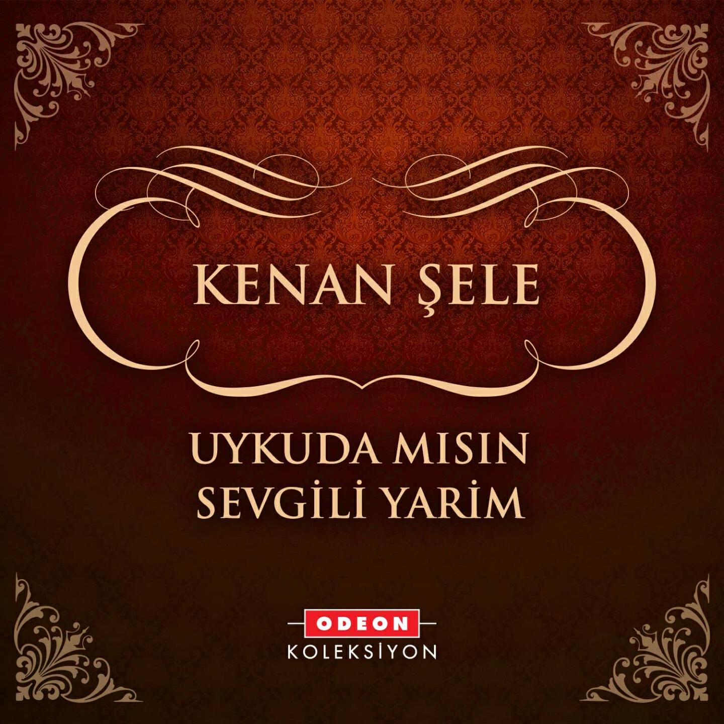 Kenan Şele