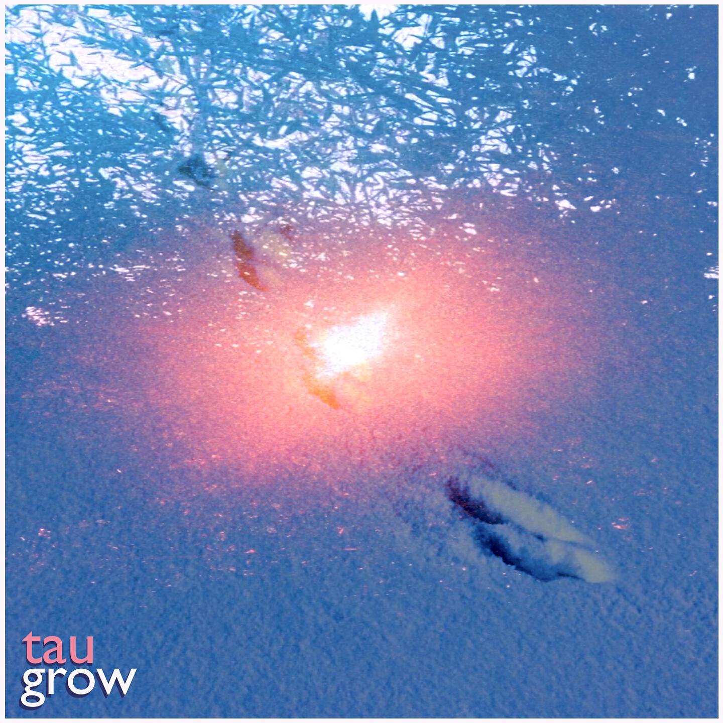 Релиз Grow