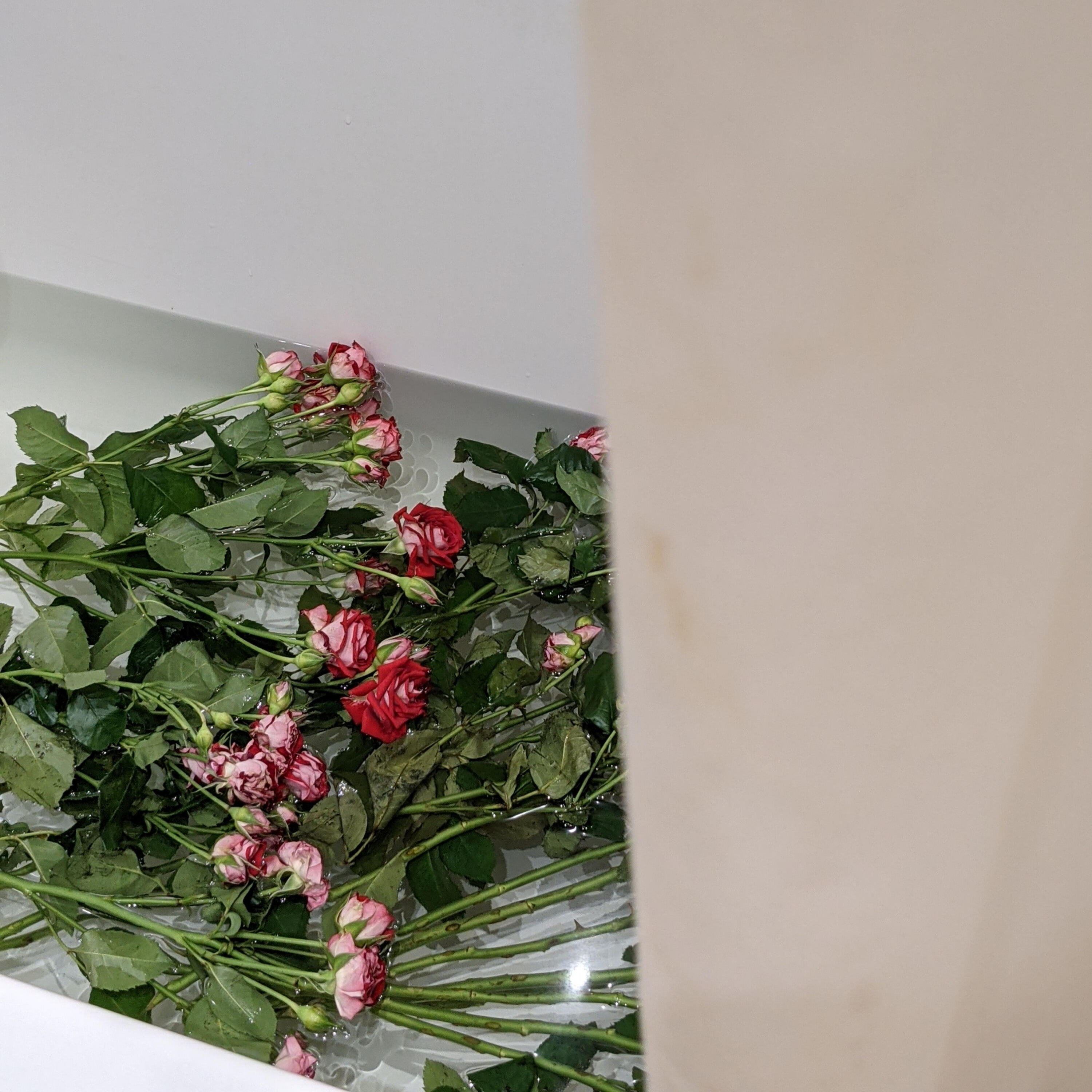 Релиз Greenhouse