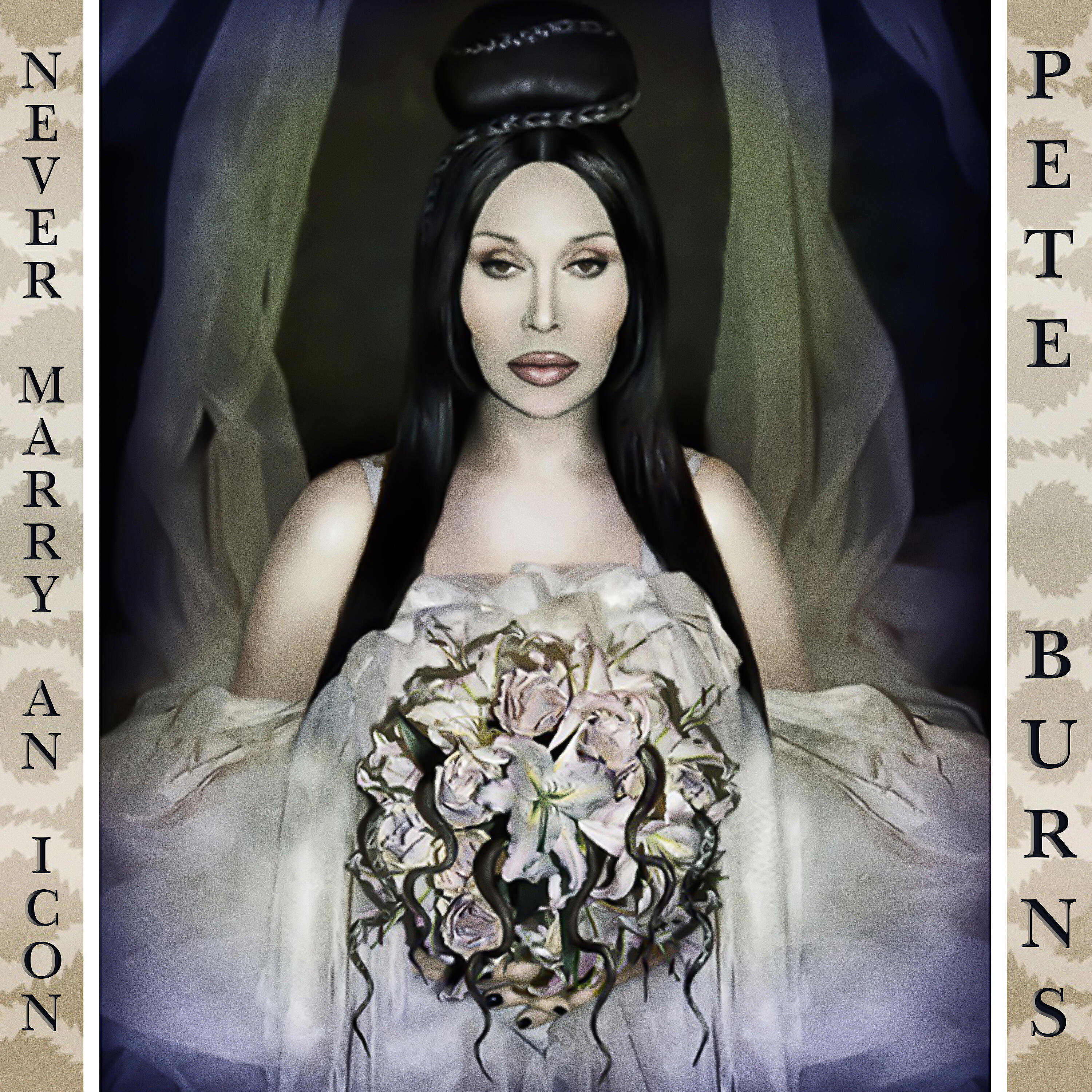 Релиз Never Marry an Icon (Pete Burns vs. The Dirty Disco)
