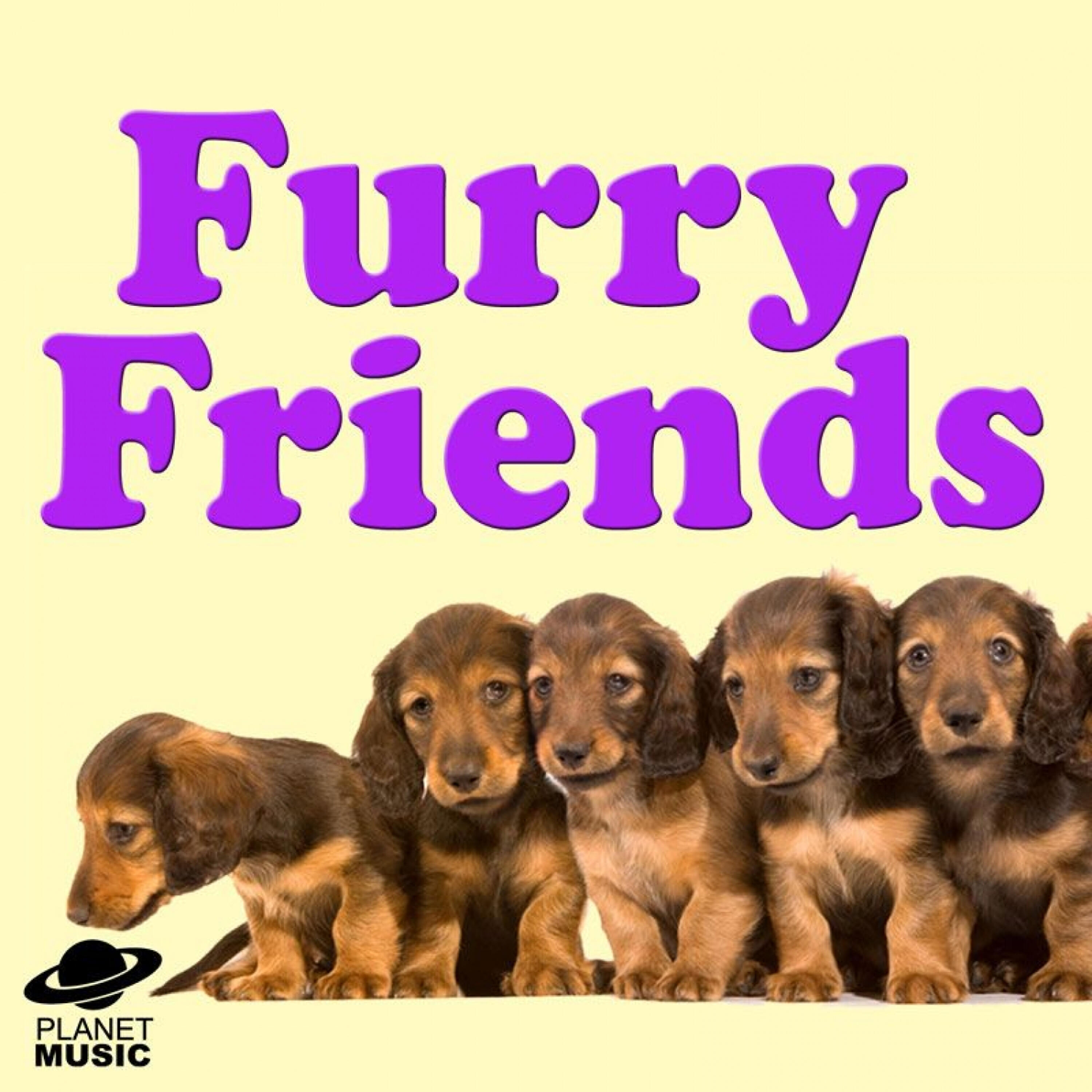 Релиз Furry Friends