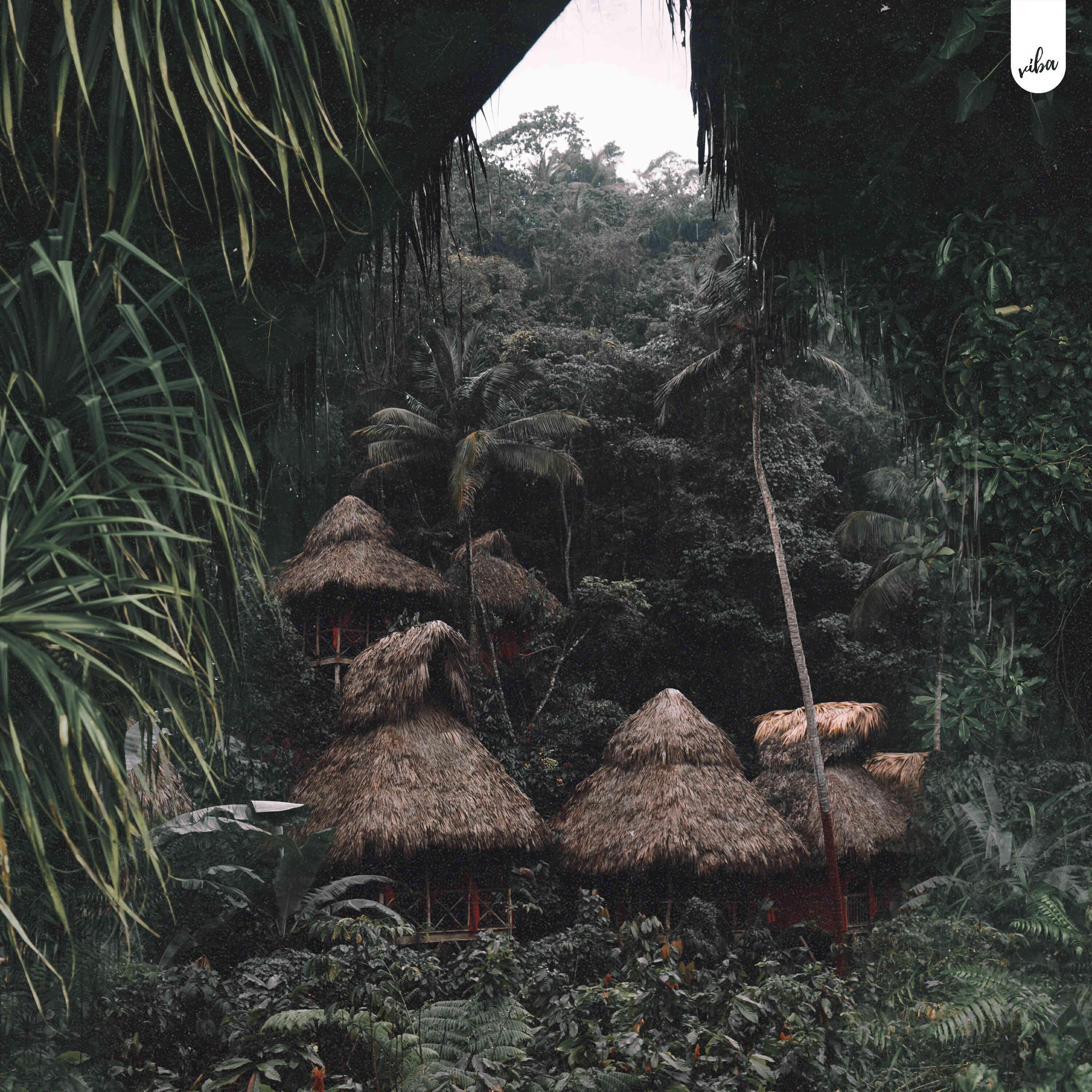 Релиз It's Like A Jungle Chill