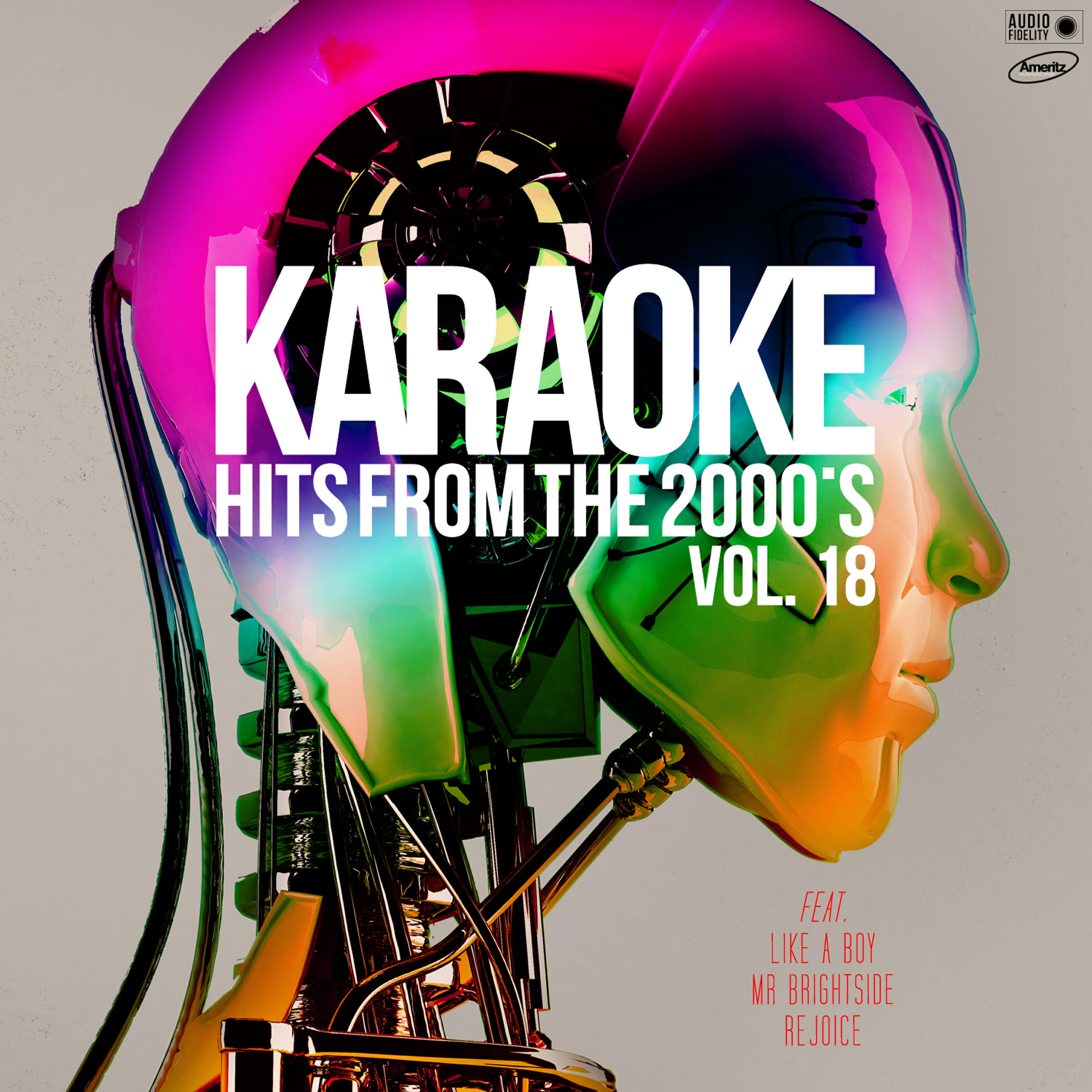 Релиз Karaoke Hits from the 2000's, Vol. 18