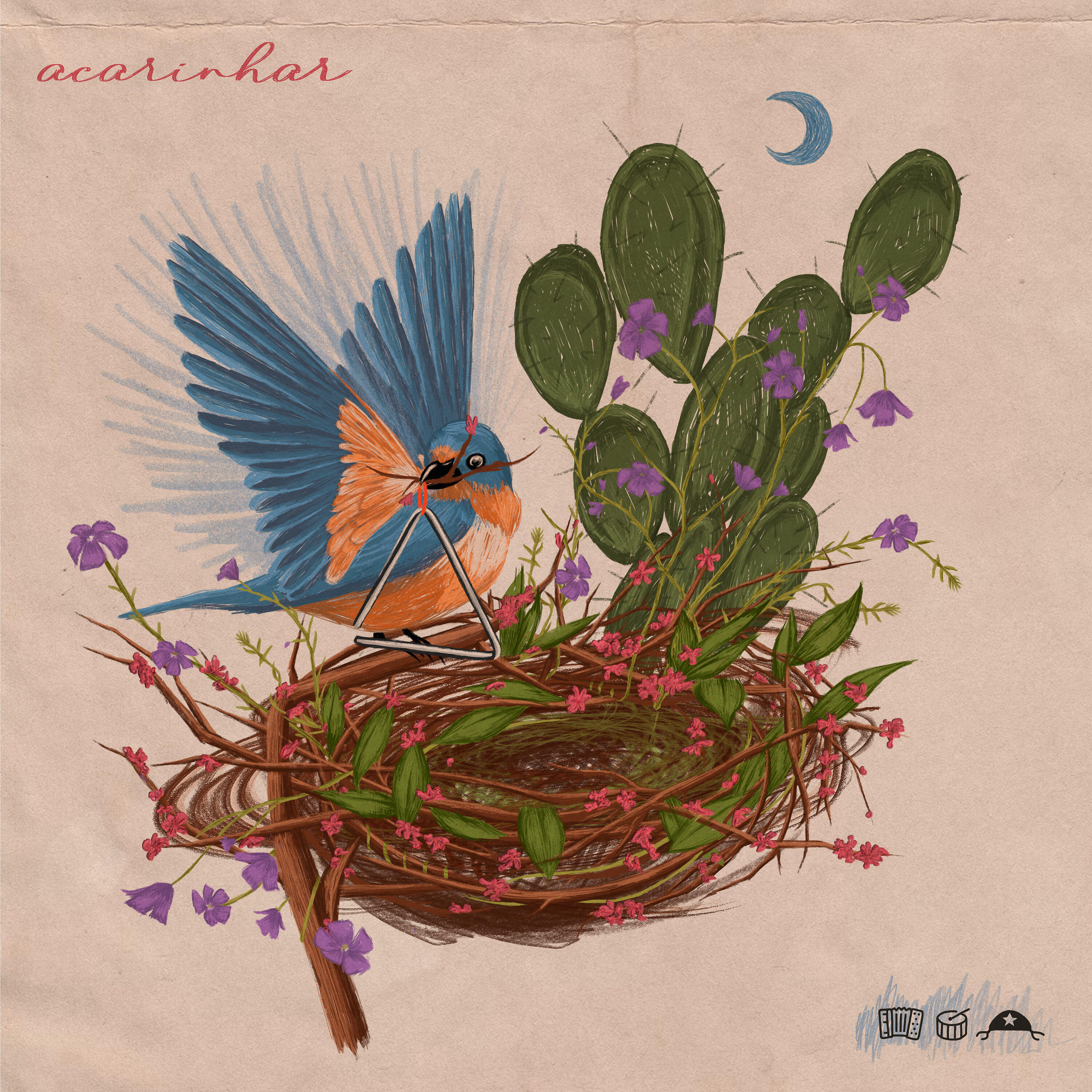 Релиз Acarinhar