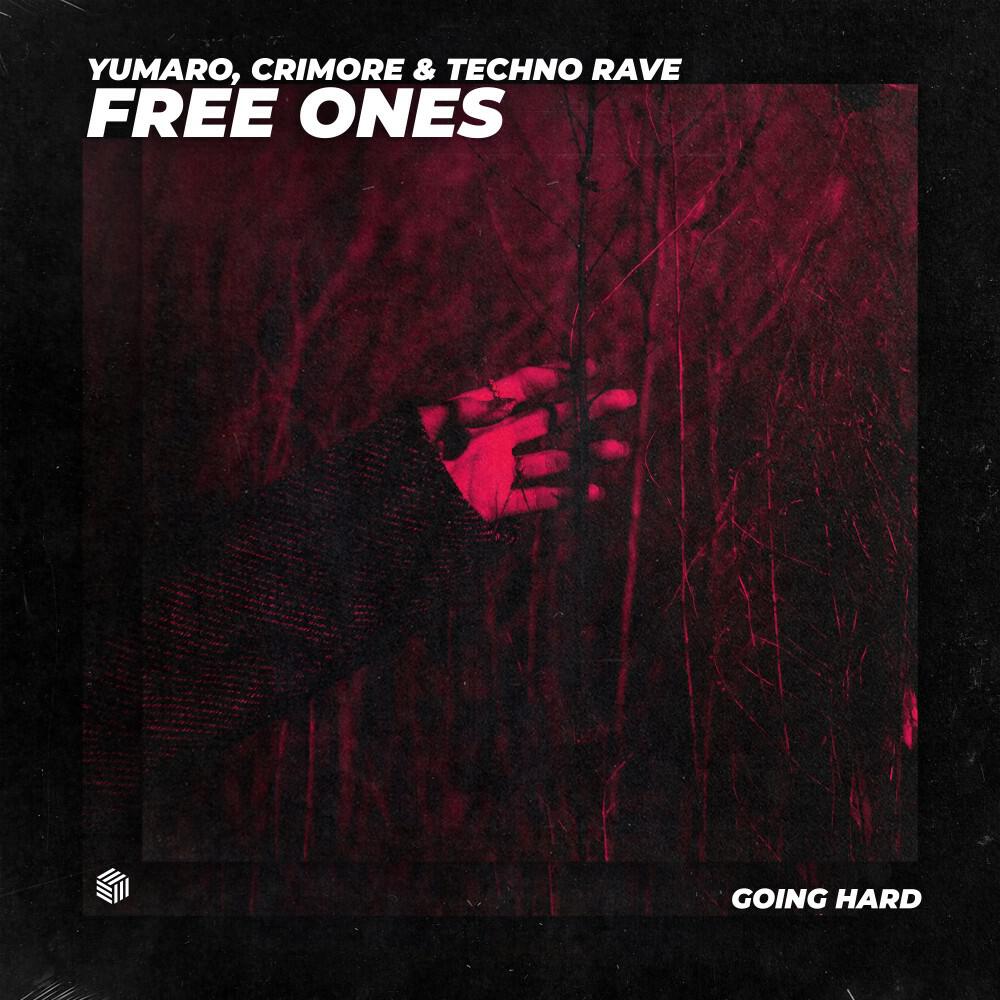 Релиз Free Ones