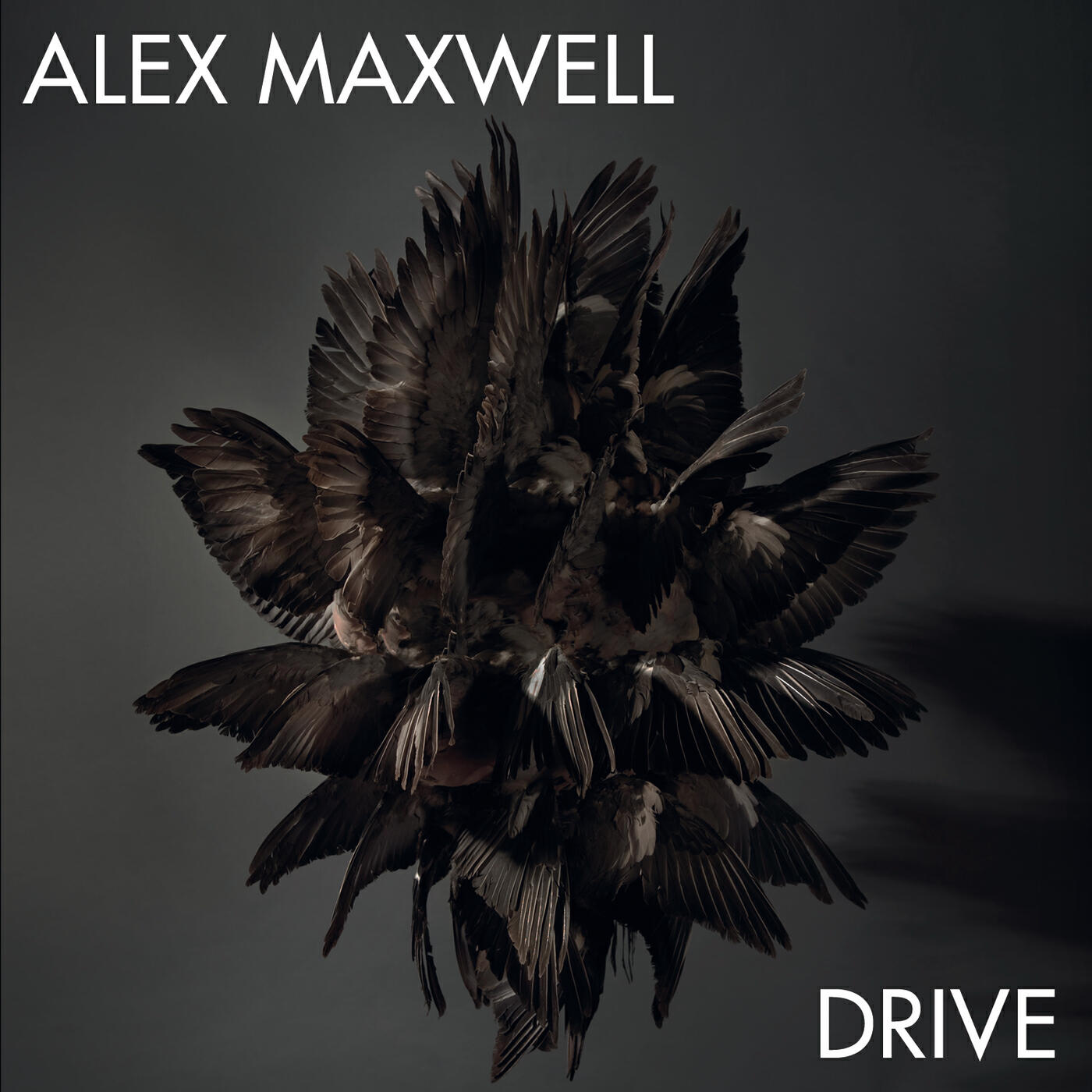 Релиз Drive