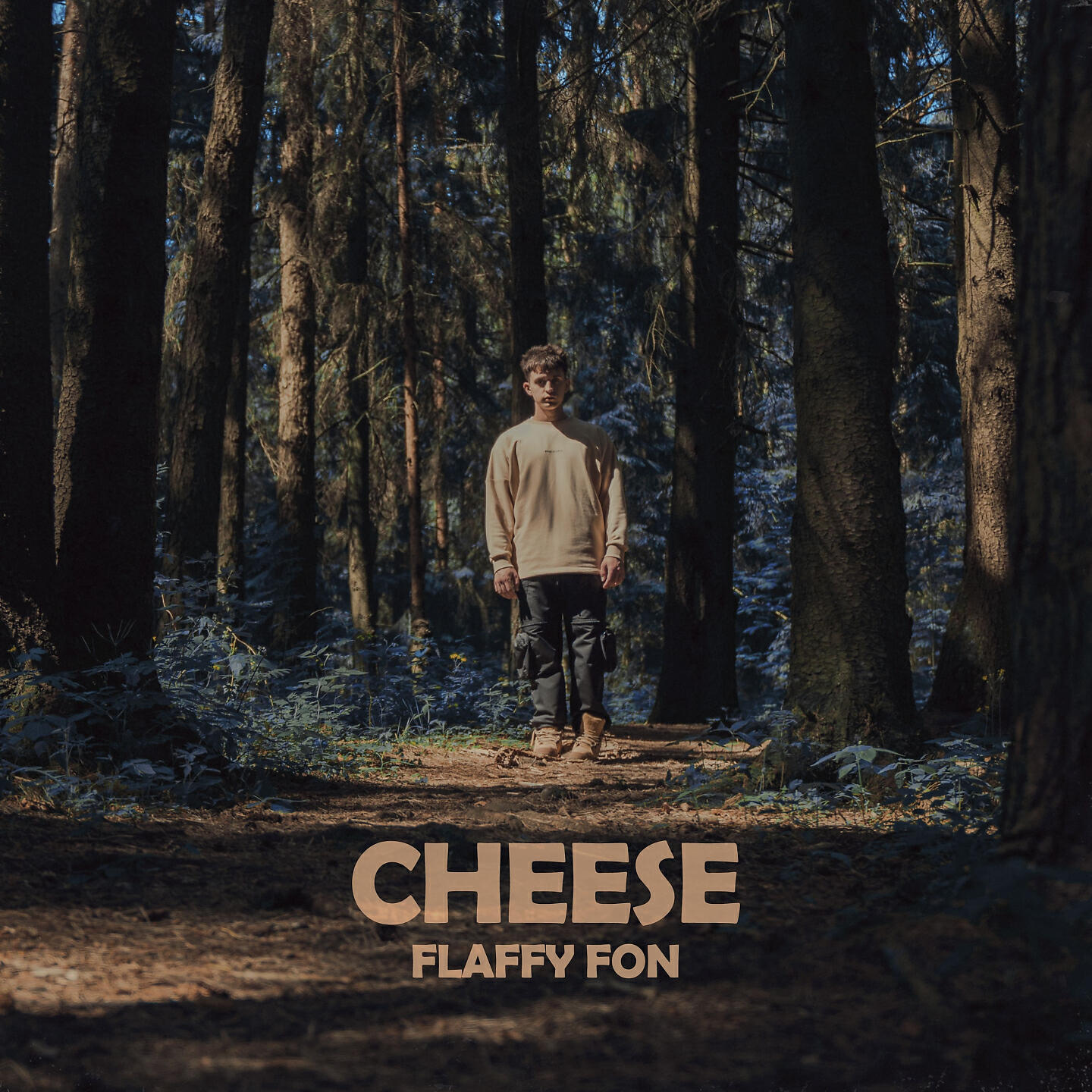 Релиз CHEESE