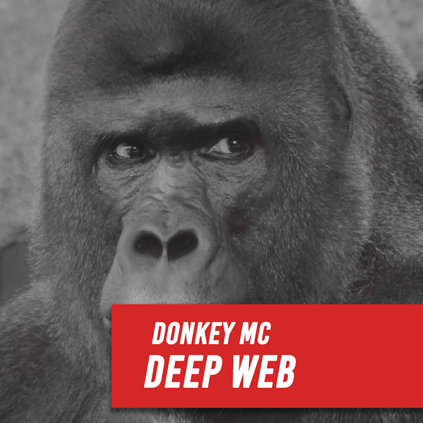 Donkey MC